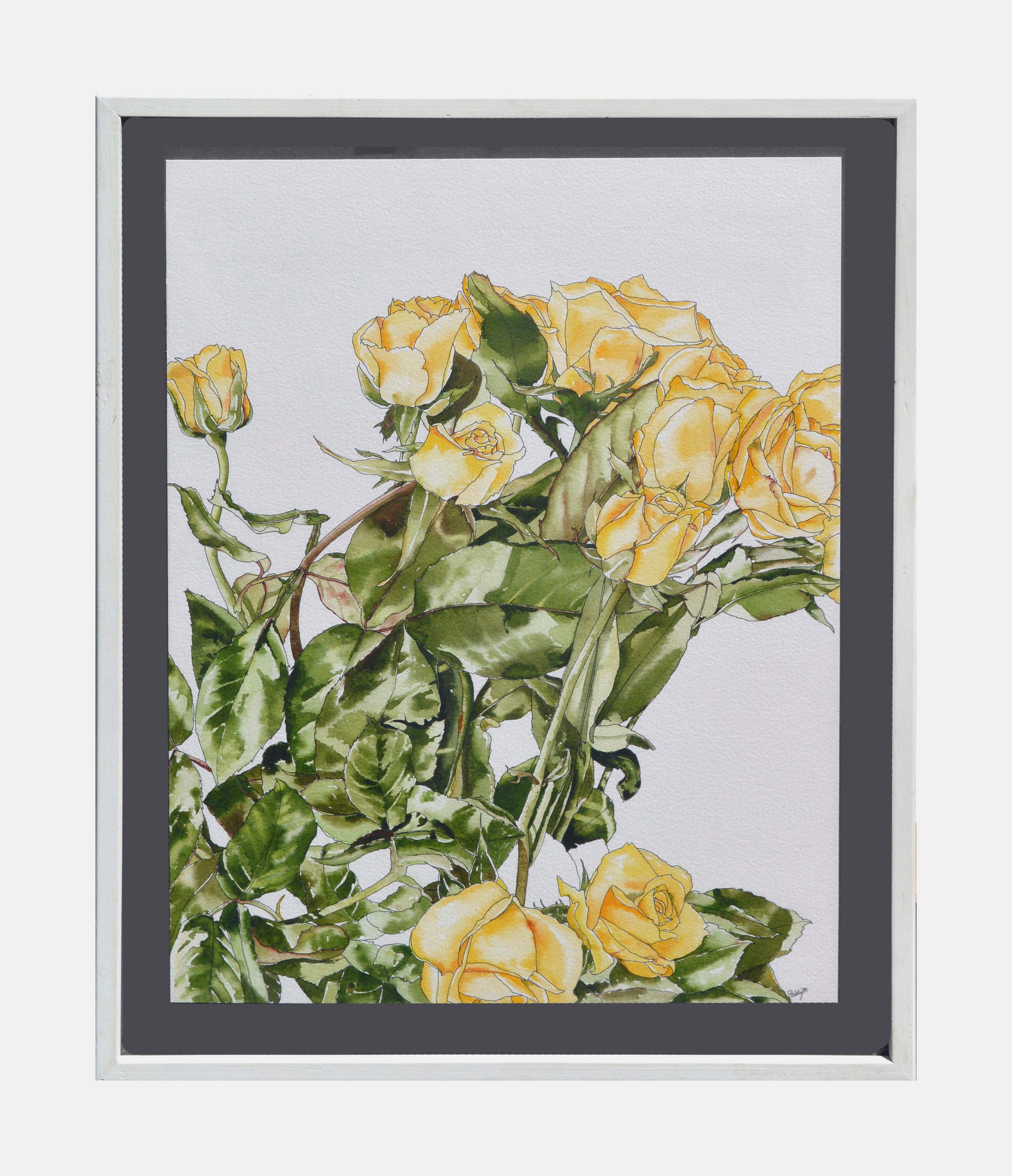 Deborah Eddy Still-Life - Yellow Roses - Botanical Study 