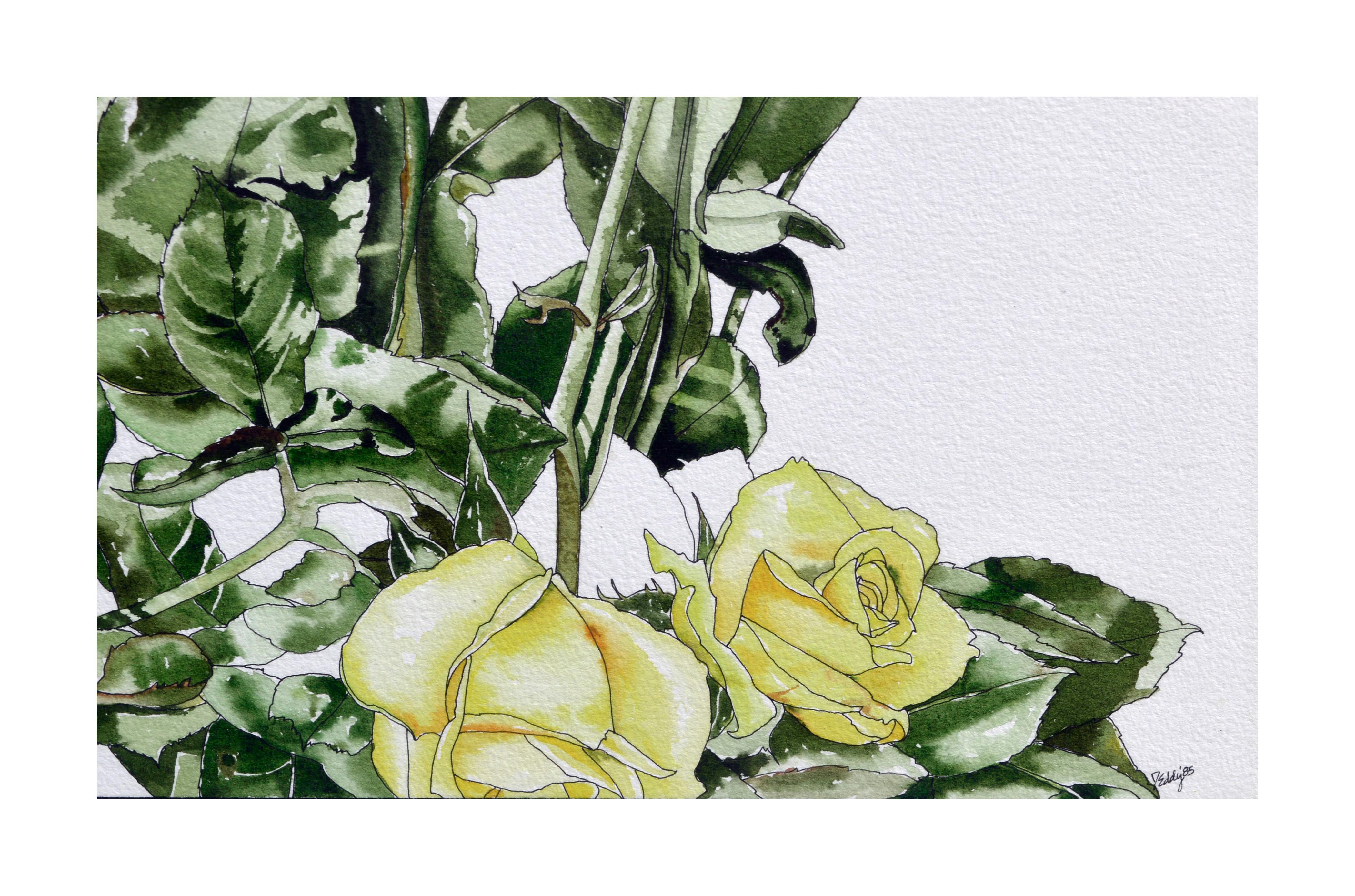 Gelbe gelbe Rosen – botanische Studie  (Amerikanischer Realismus), Art, von Deborah Eddy