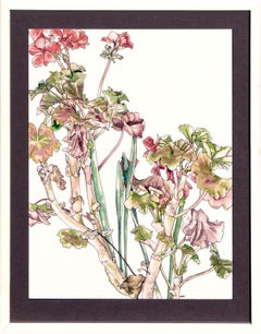 Geraniums & Bulbs - Botanical Study
