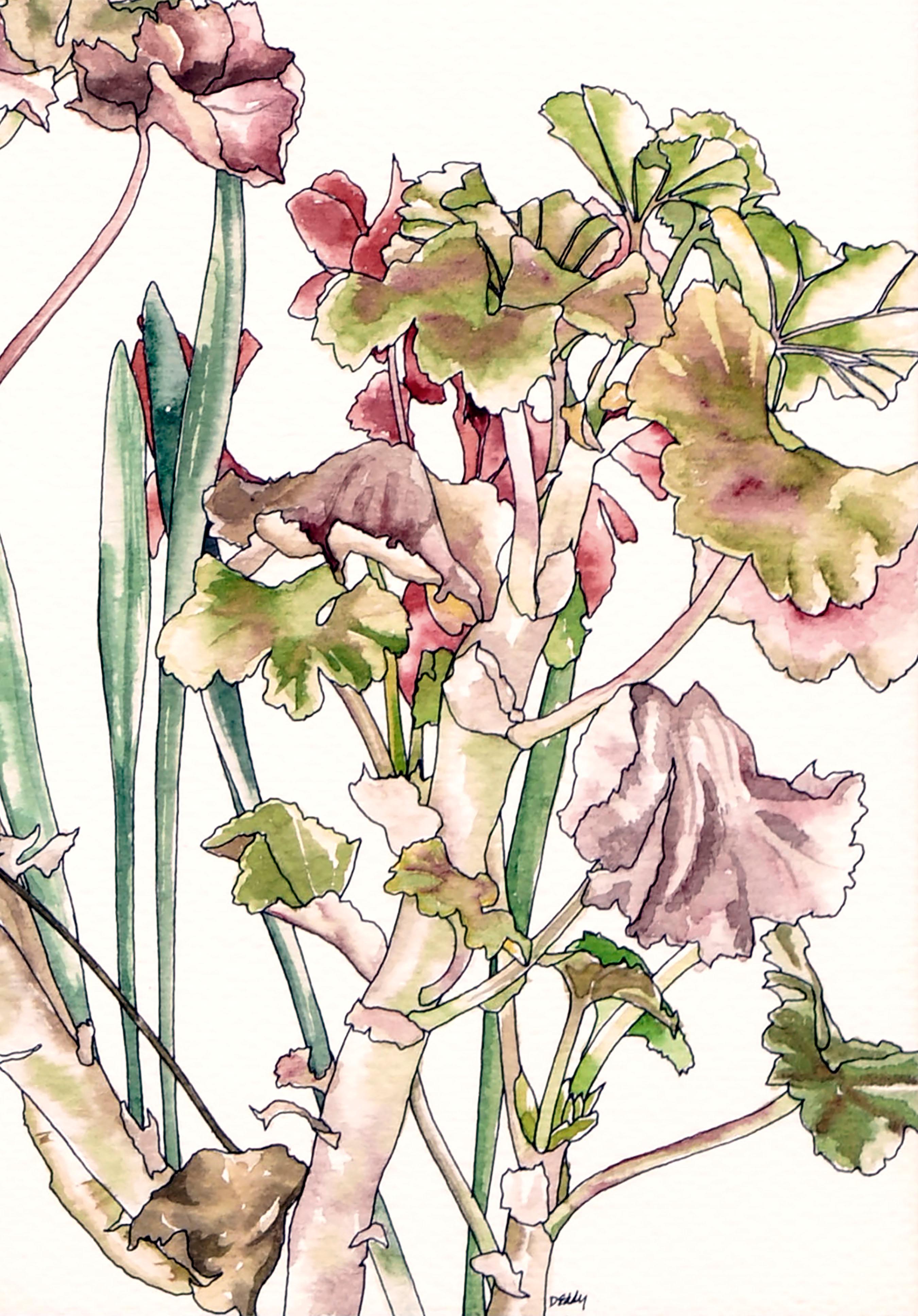 Geraniums & Bulbs - Botanical Study  - American Realist Art by Deborah Eddy