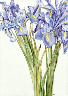 Iris Escaping - Botanical Study