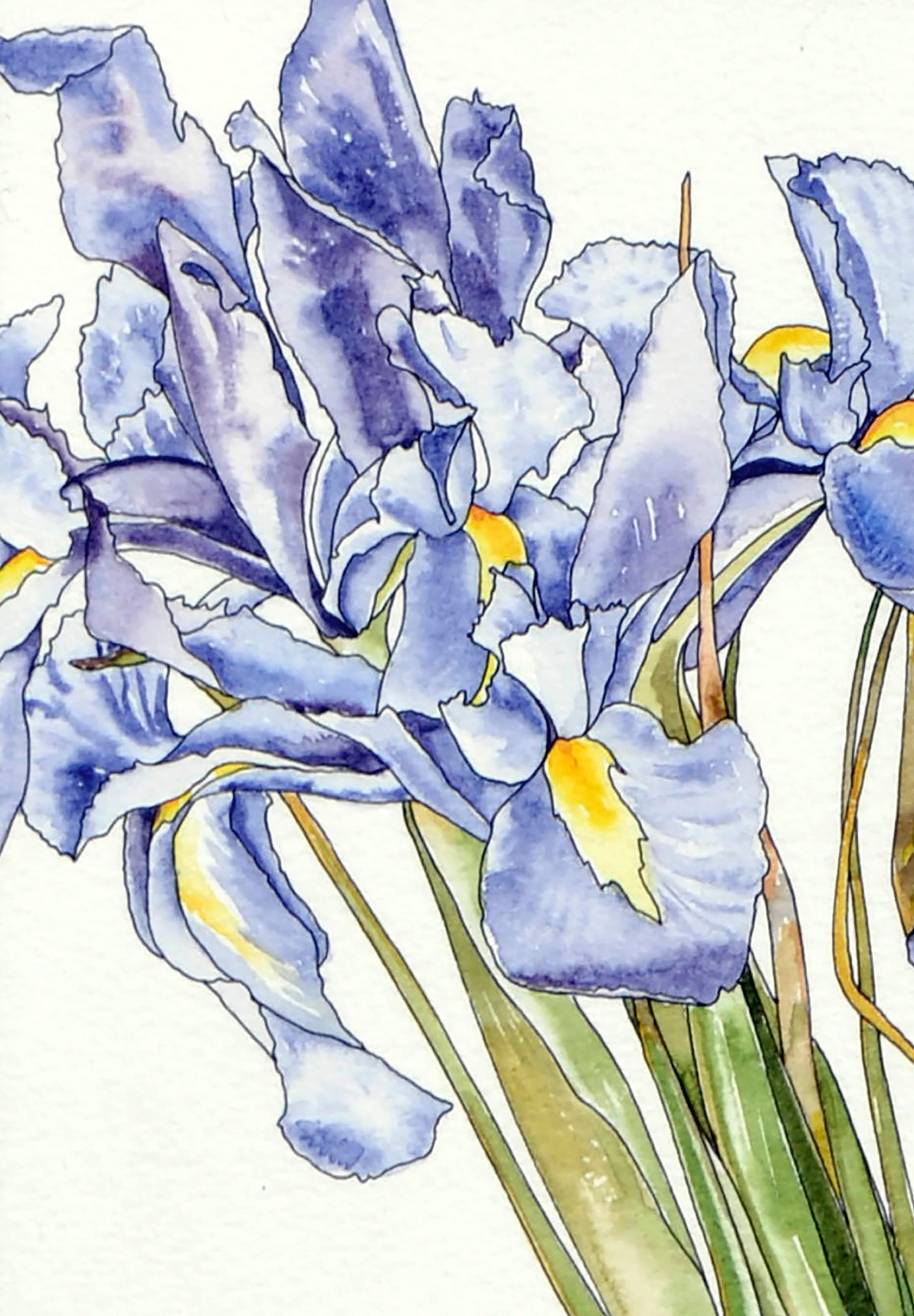 easy watercolor iris