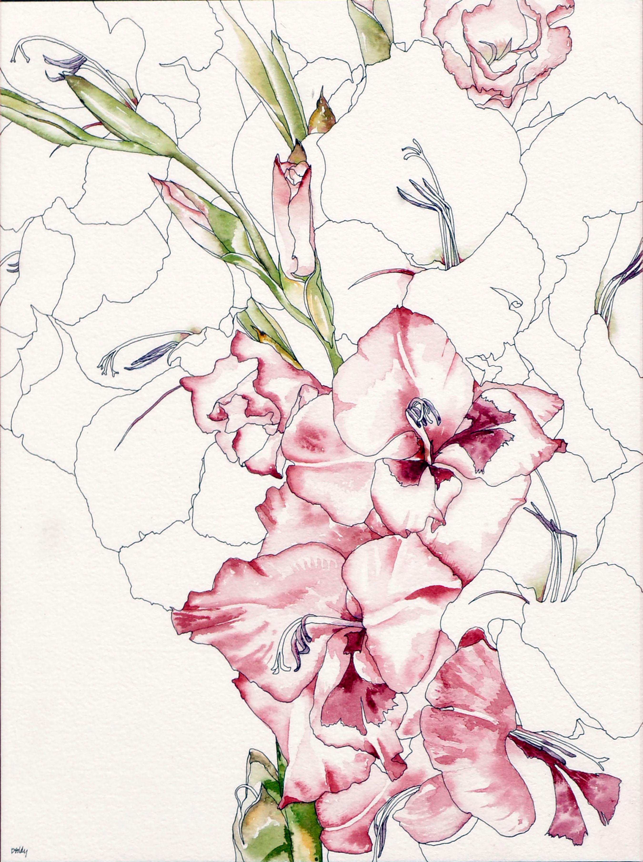 Begonia - Botanical Study  - Art by Deborah Eddy