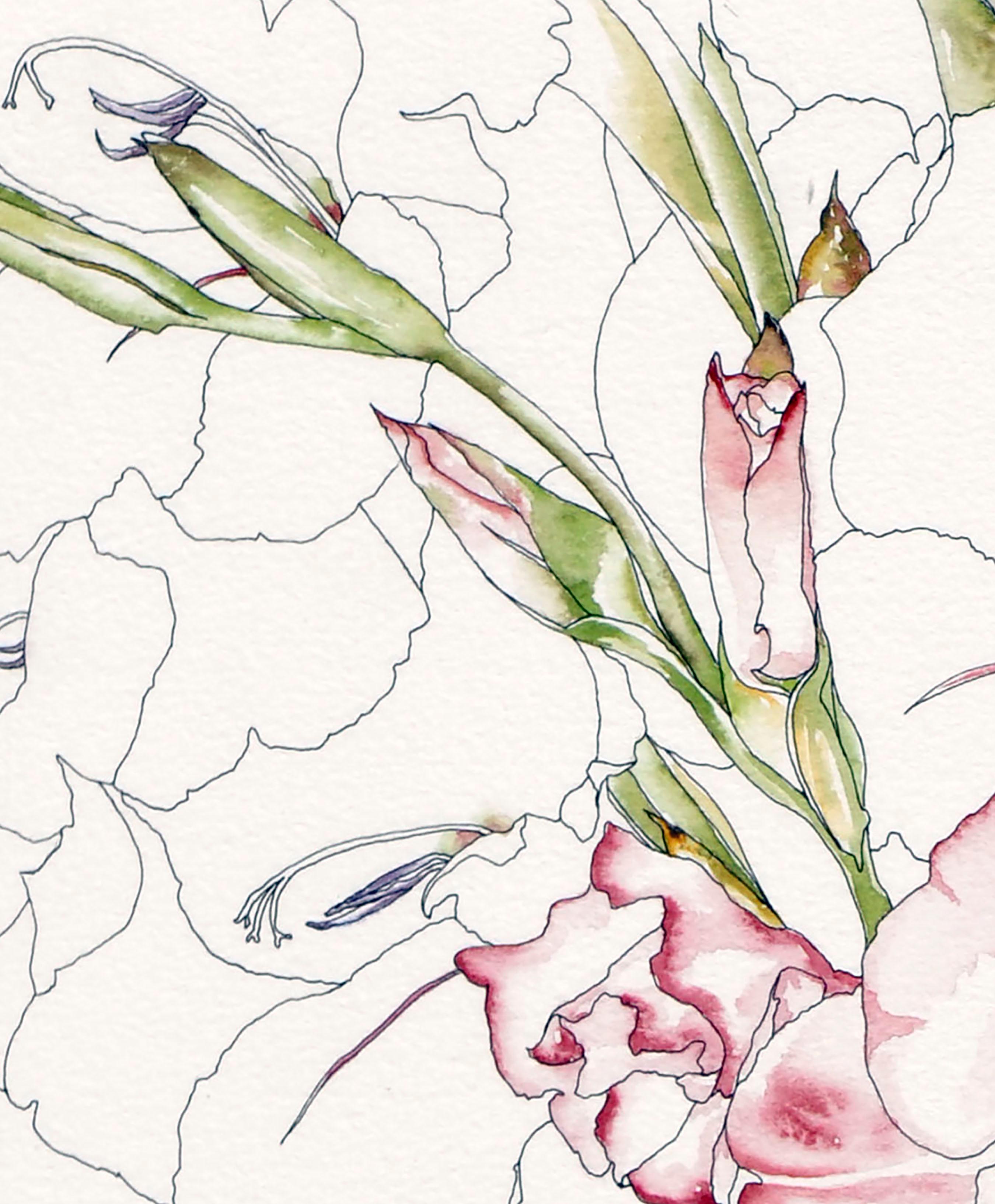 Begonia - Botanical Study  - American Realist Art by Deborah Eddy