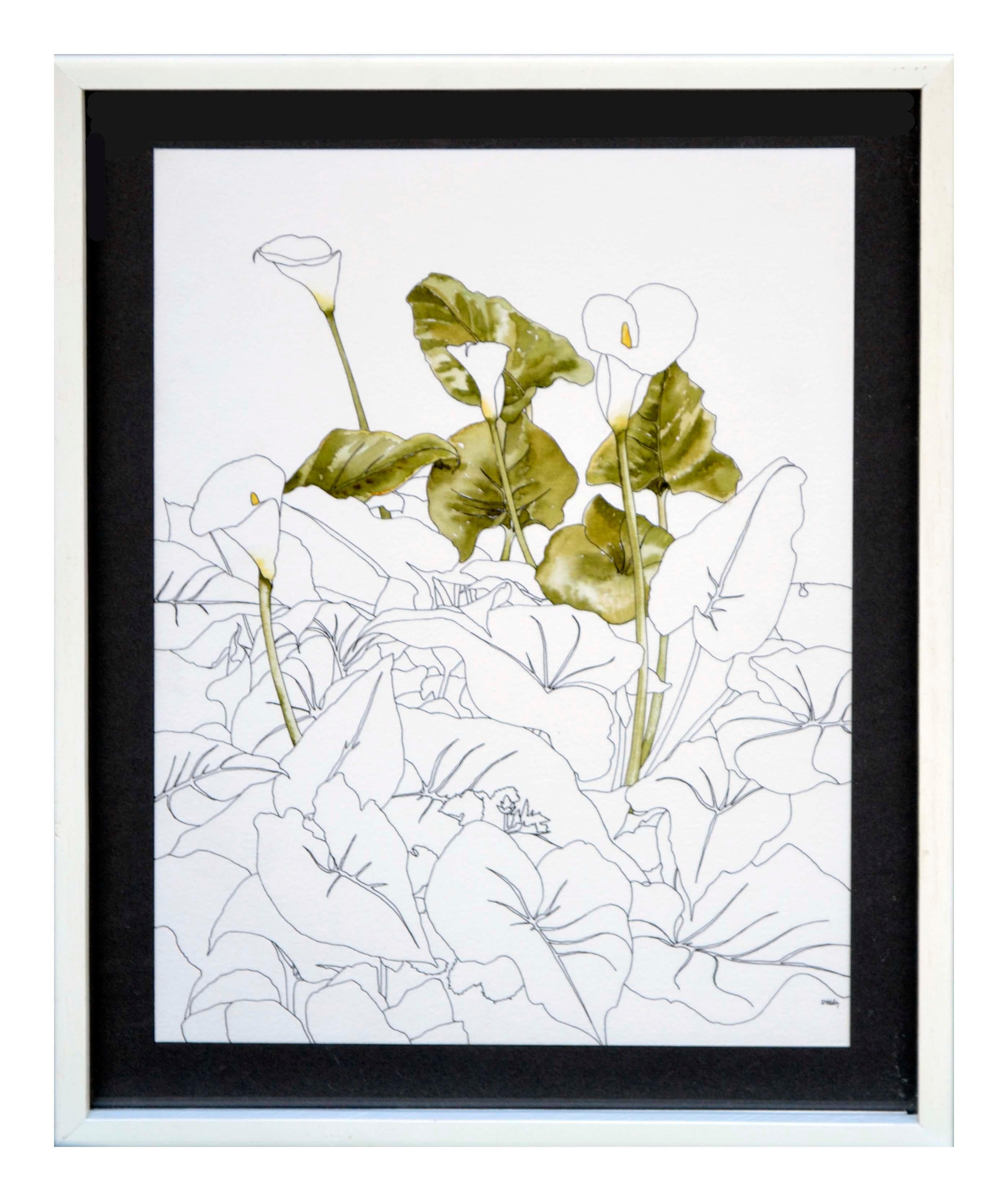Deborah Eddy Still-Life - Calla Lily  - Botanical Study 
