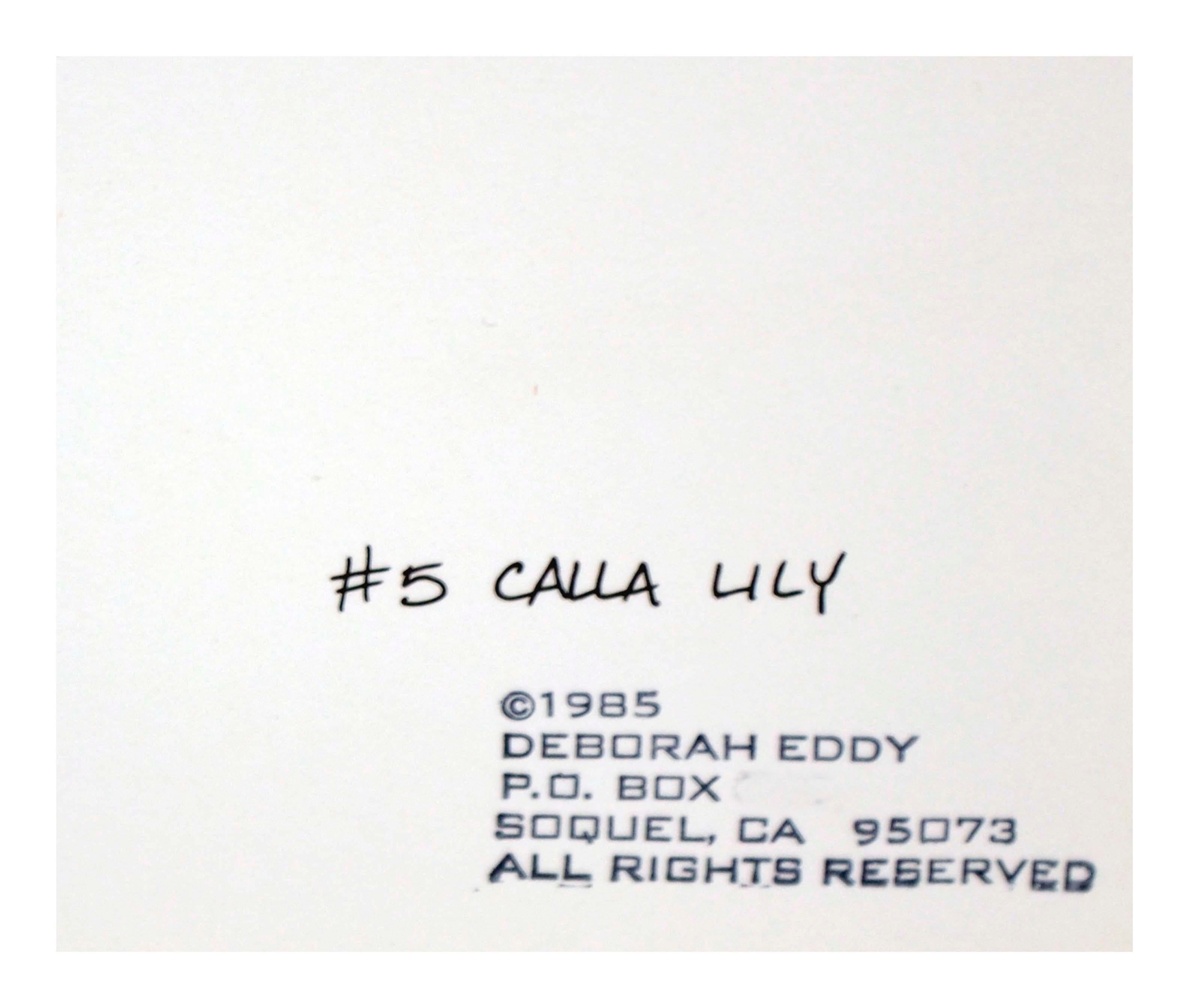 Calla Lily  - Botanical Study  - Gray Still-Life by Deborah Eddy