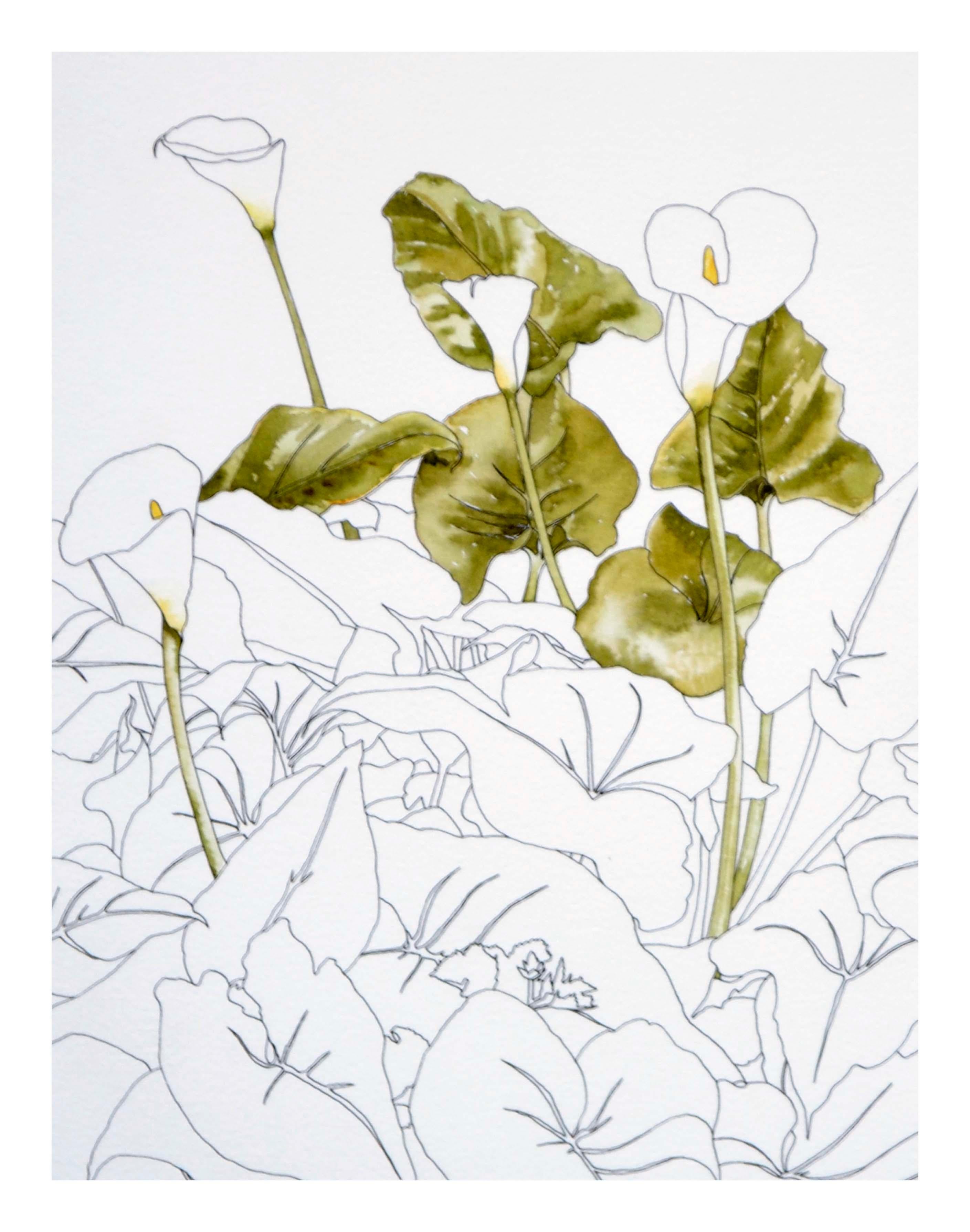 art nouveau calla lily