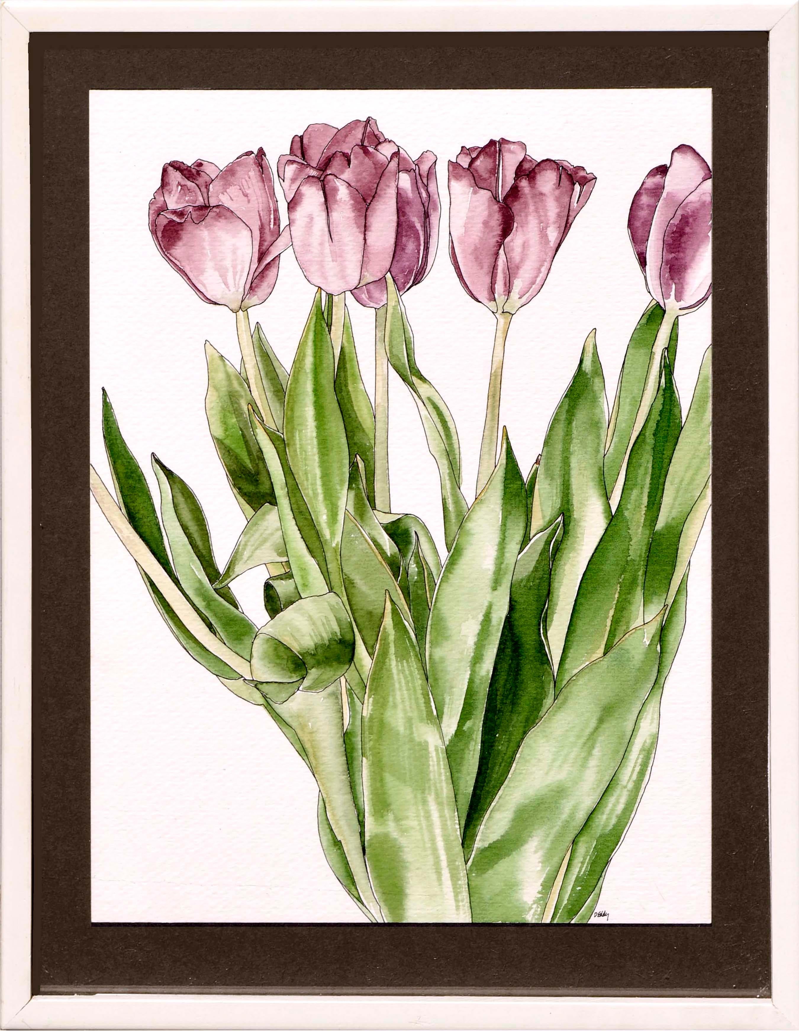 Deborah Eddy Still-Life - Tulips  - Botanical Study 