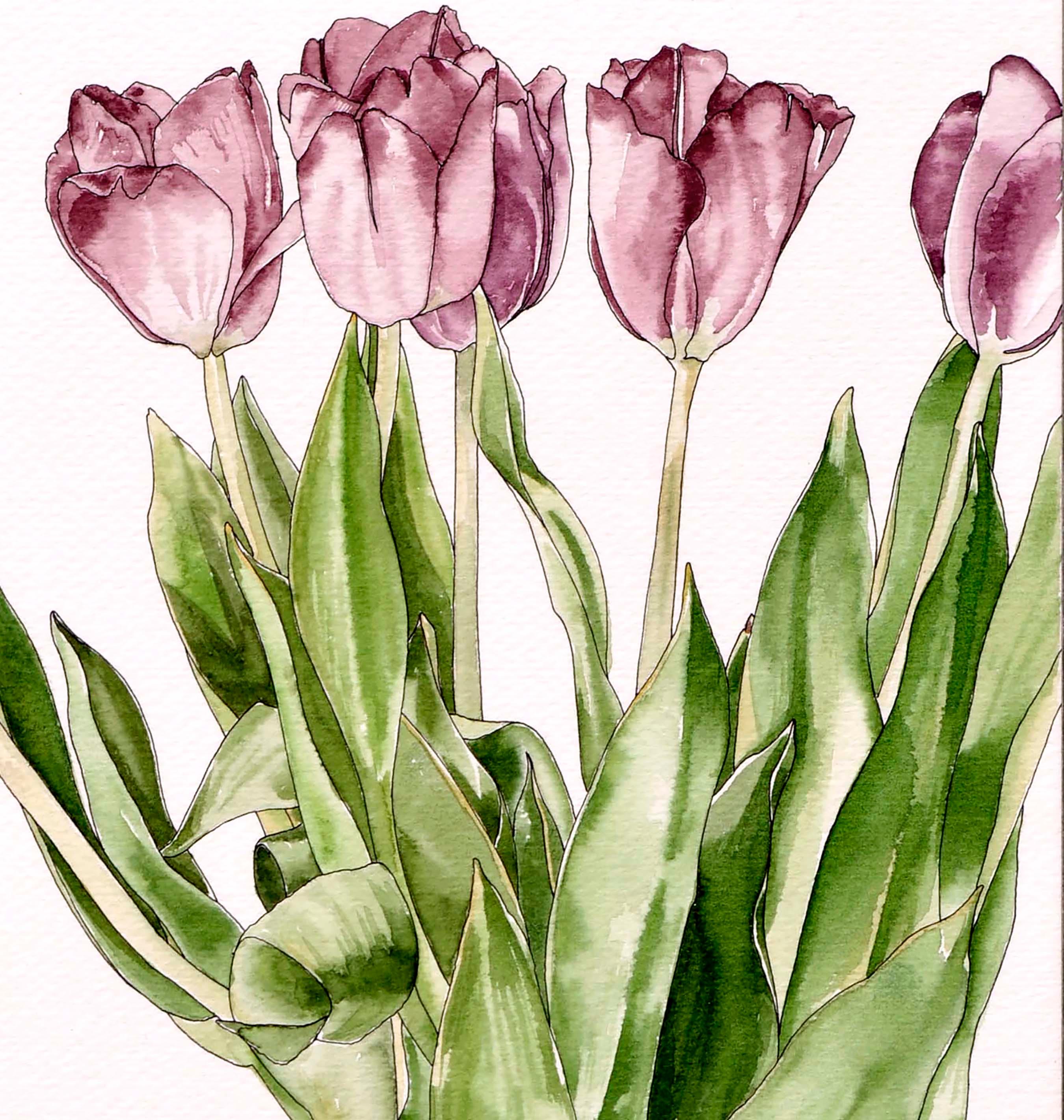 tulips ramo