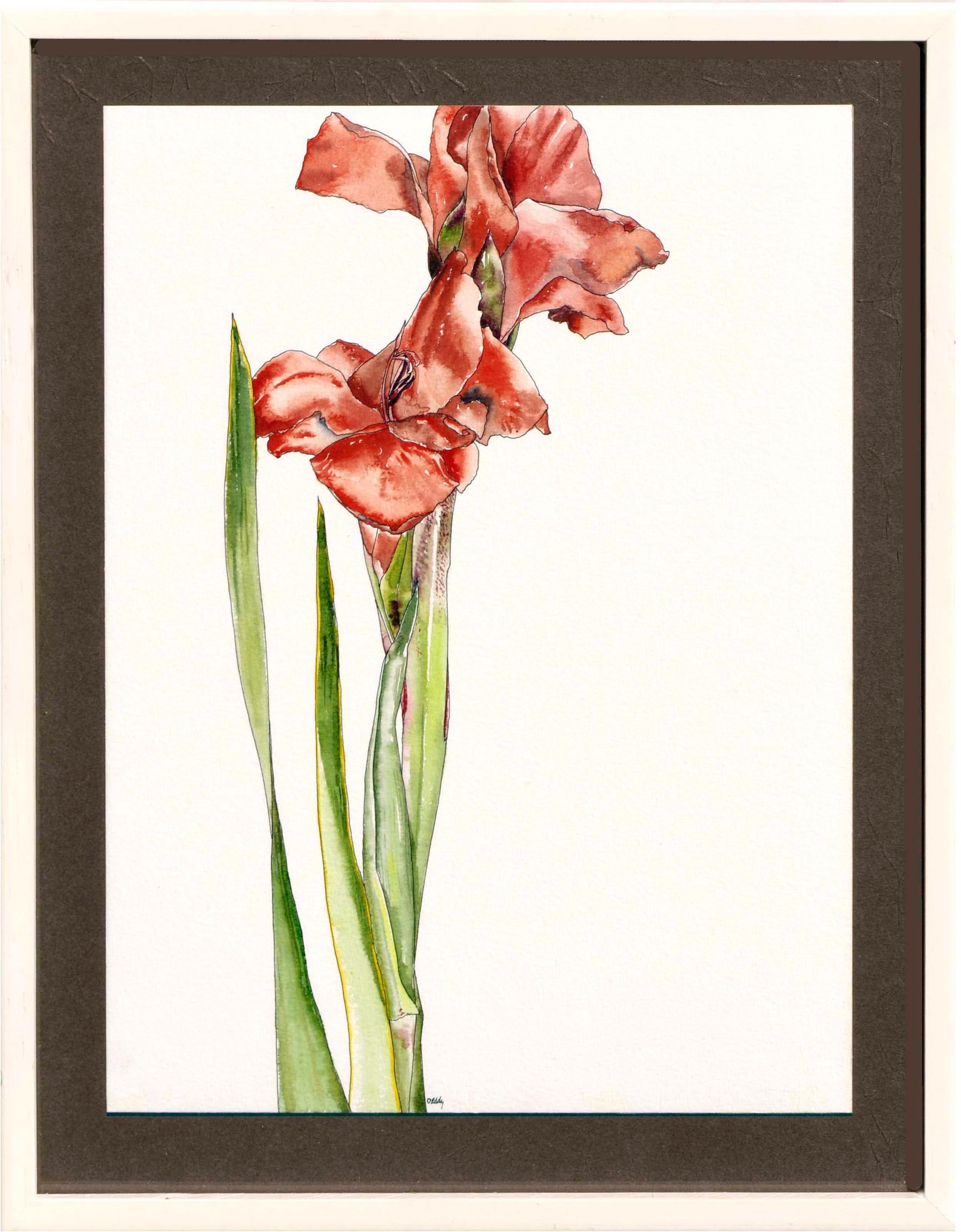 Deborah Eddy Still-Life - Gladiolas  - Botanical Study 