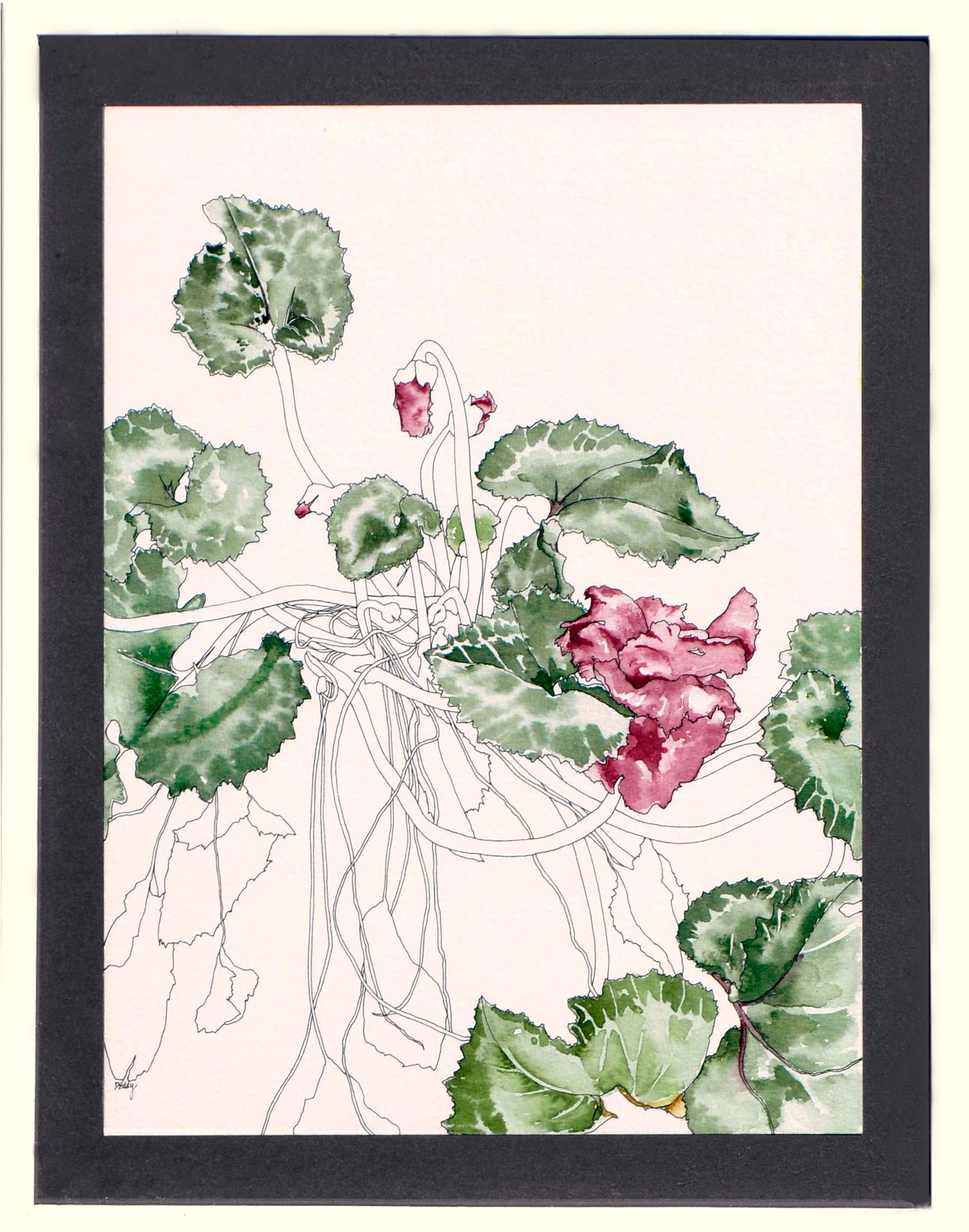 Deborah Eddy Still-Life – Cyclamen – Botanische Studie
