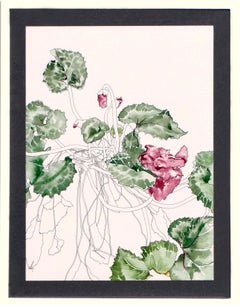 Vintage Cyclamen - Botanical Study 