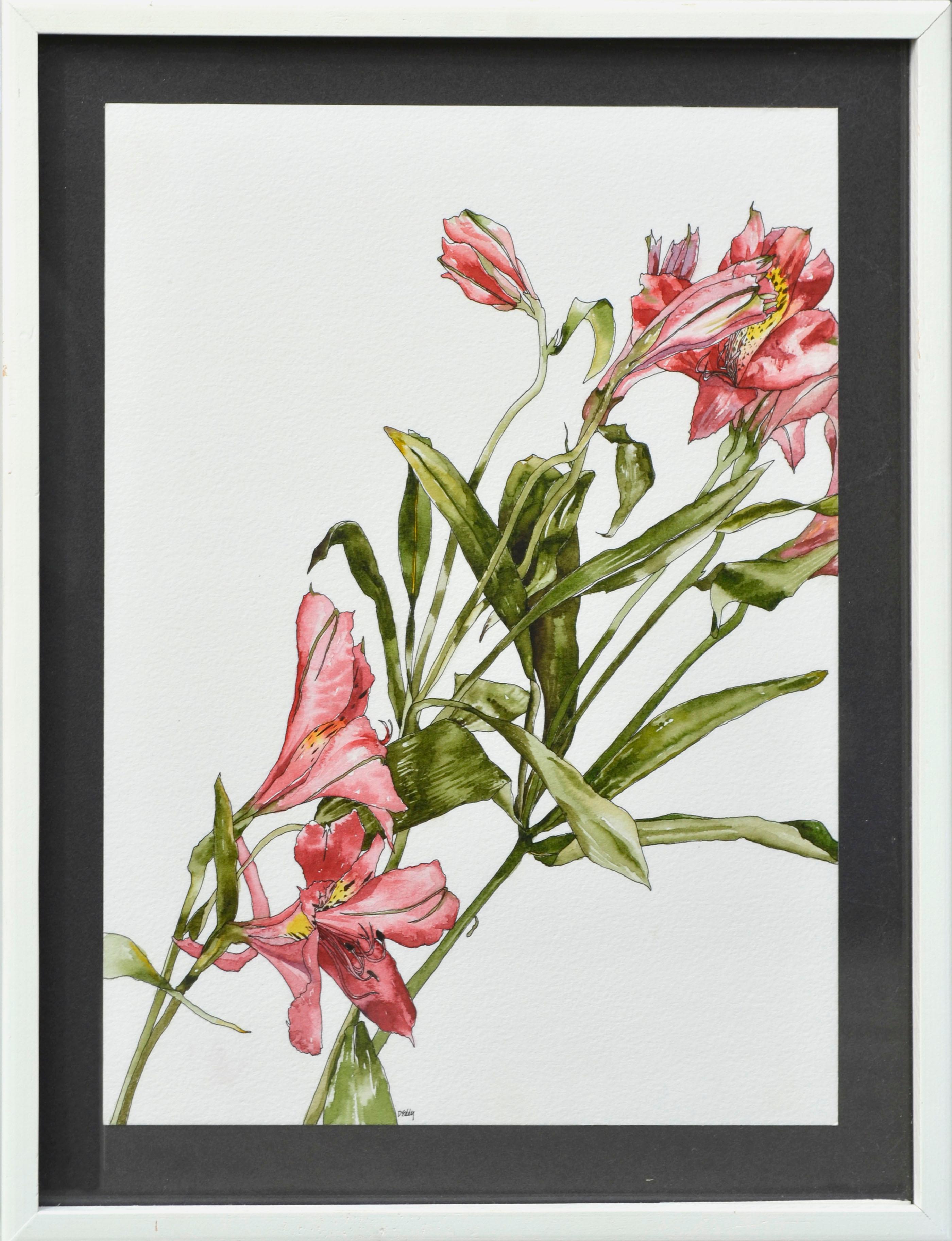 Deborah Eddy Still-Life - Peruvian Lily - Botanical Study 