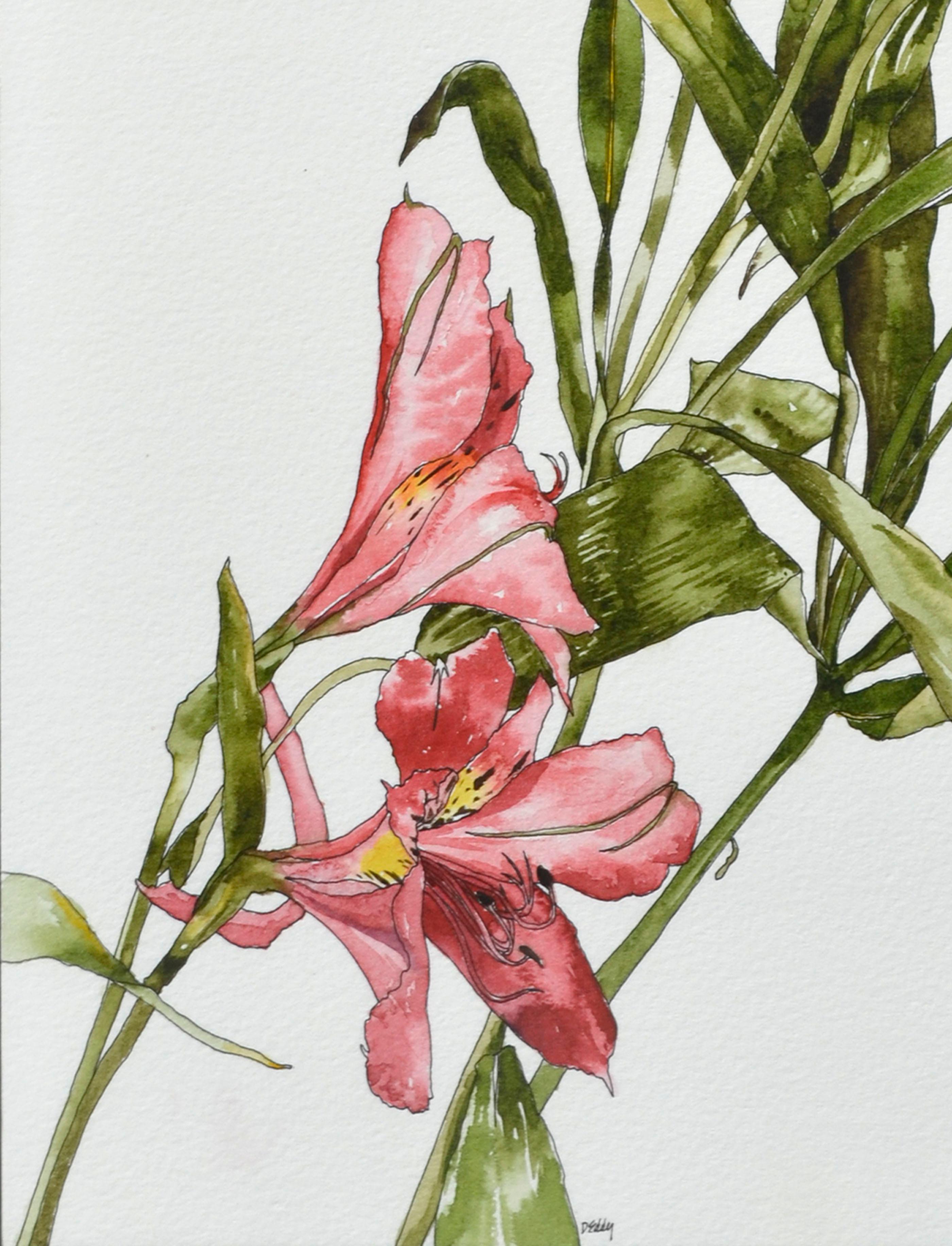Peruanische Lilie – botanische Studie  (Amerikanischer Realismus), Art, von Deborah Eddy
