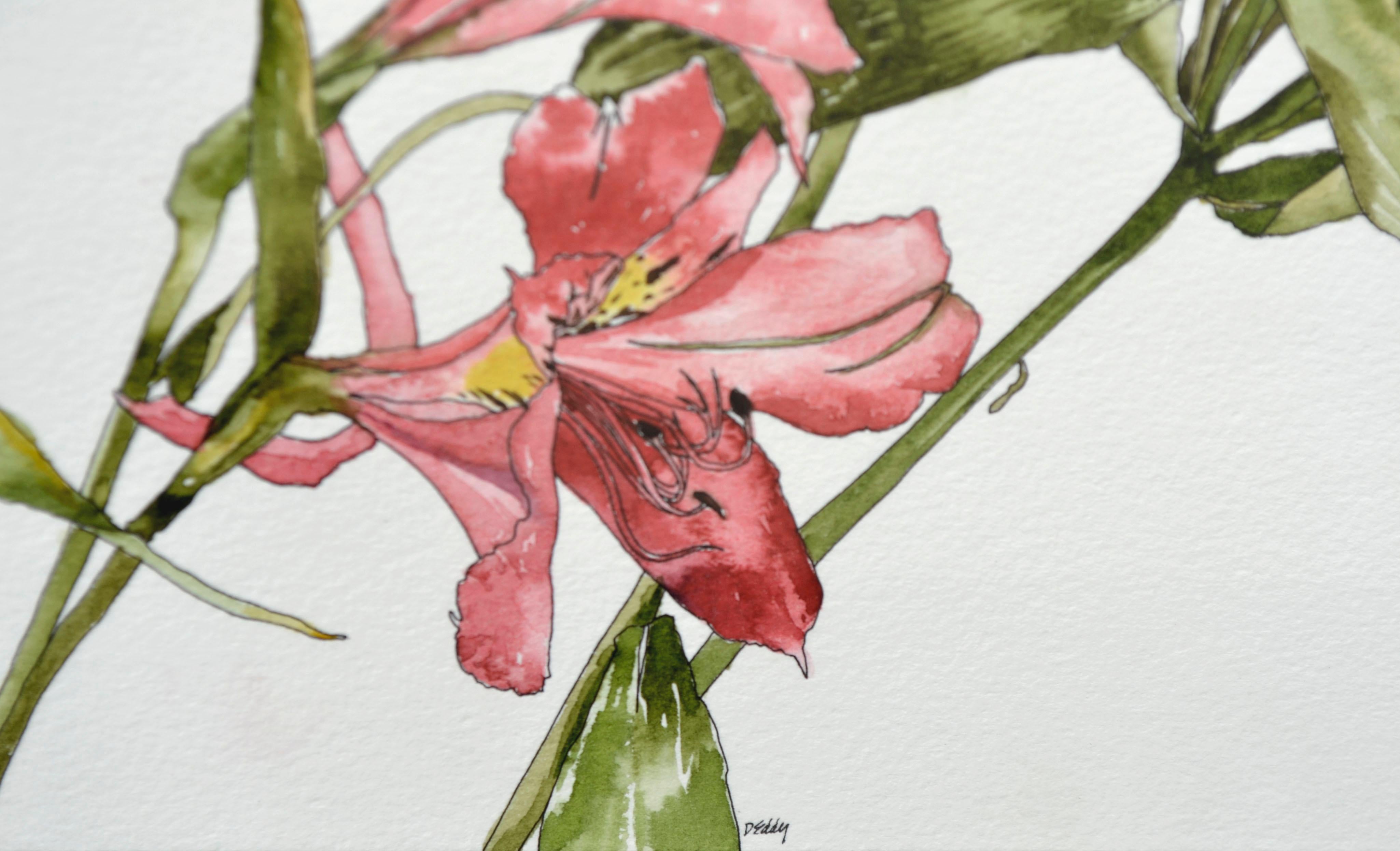 Peruanische Lilie – botanische Studie  (Grau), Still-Life, von Deborah Eddy