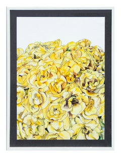 Vintage Yellow Roses - Botanical Study 