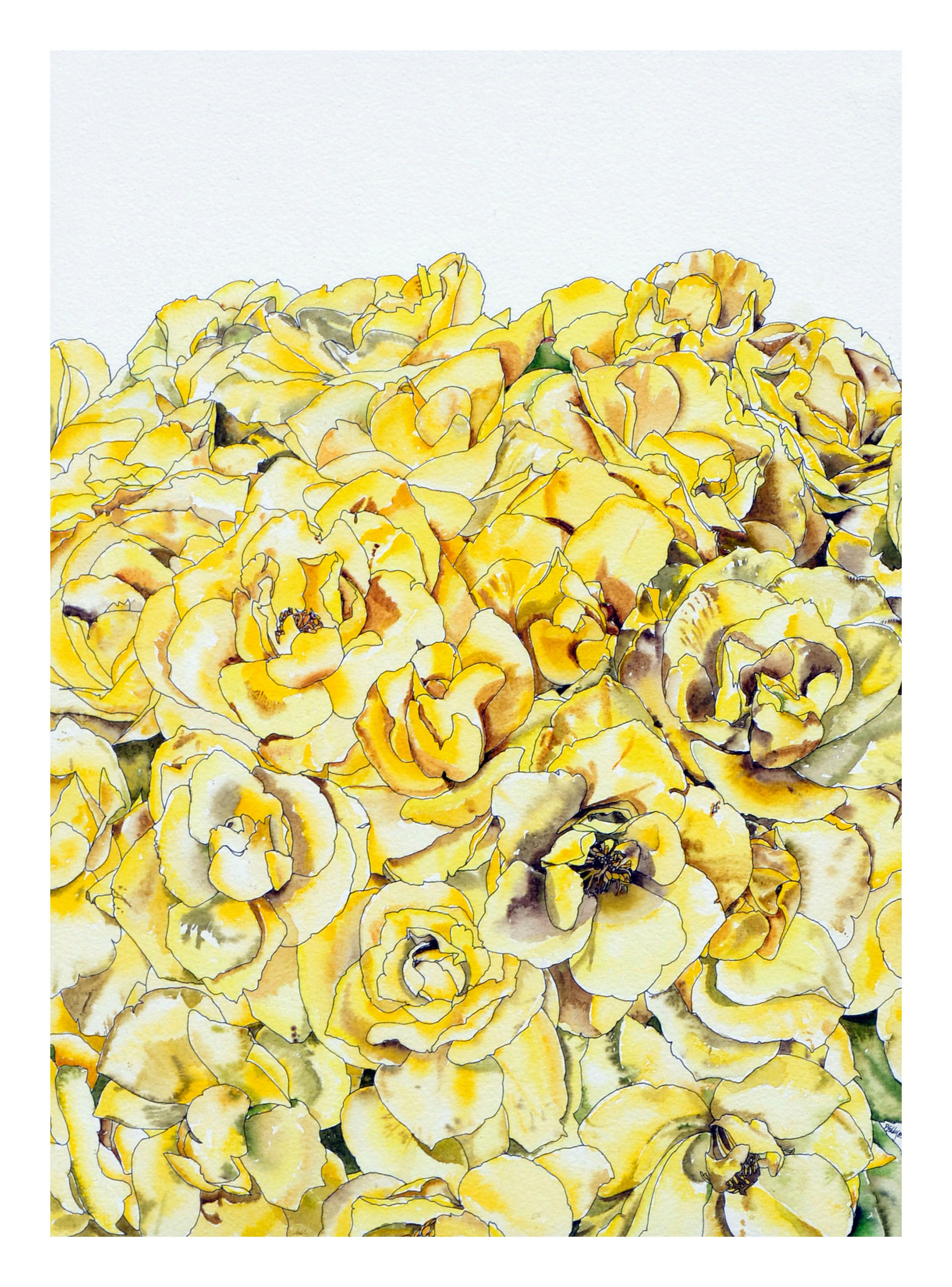 Gelbe gelbe Rosen – botanische Studie  – Art von Deborah Eddy
