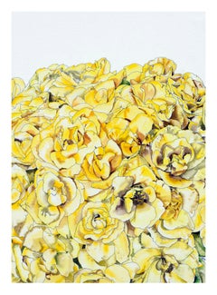 Yellow Roses - Botanical Study
