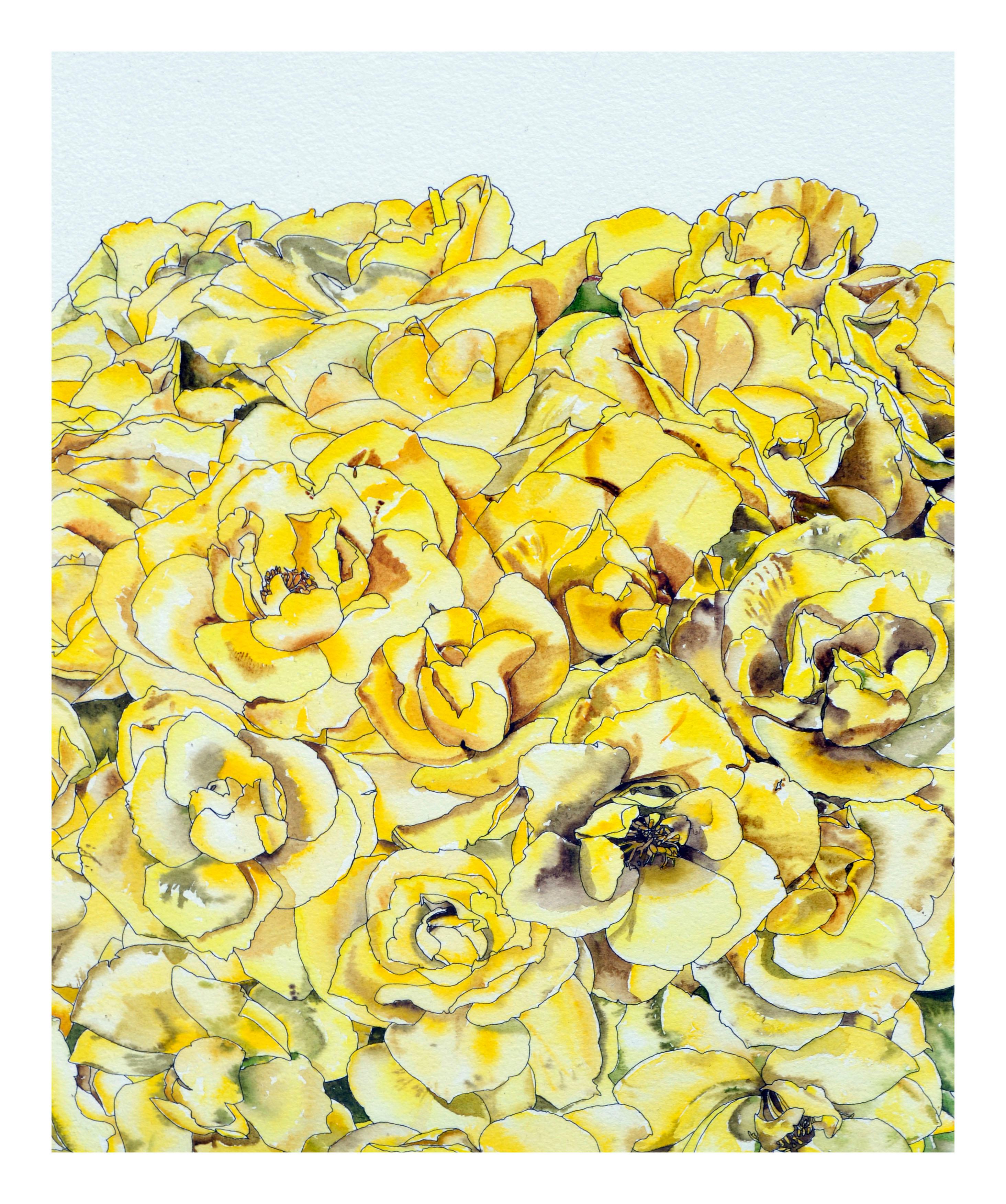 Roses jaunes - Étude botanique  - Réalisme américain Art par Deborah Eddy