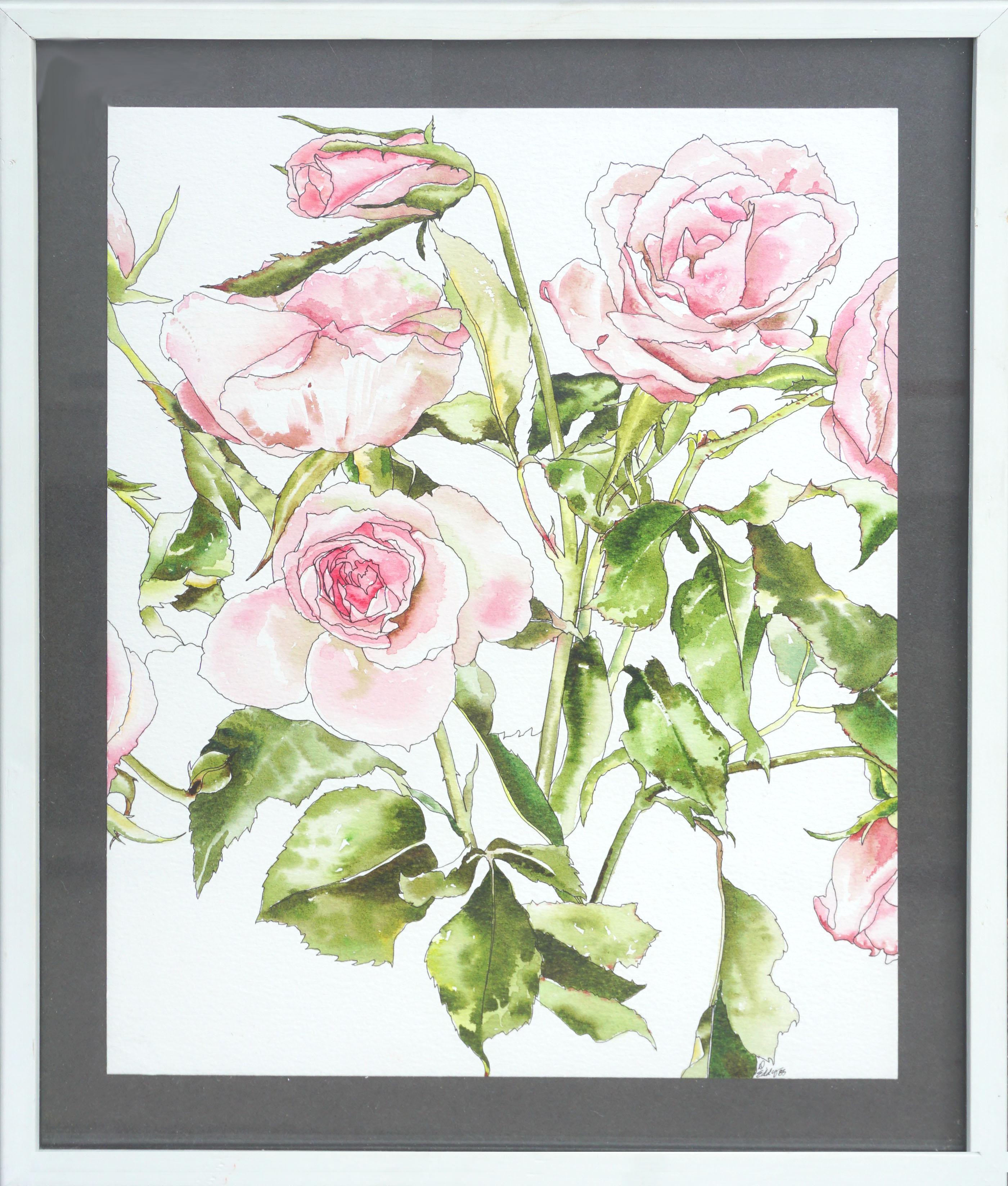 Deborah Eddy Still-Life - Light Pink Roses - Botanical Study 