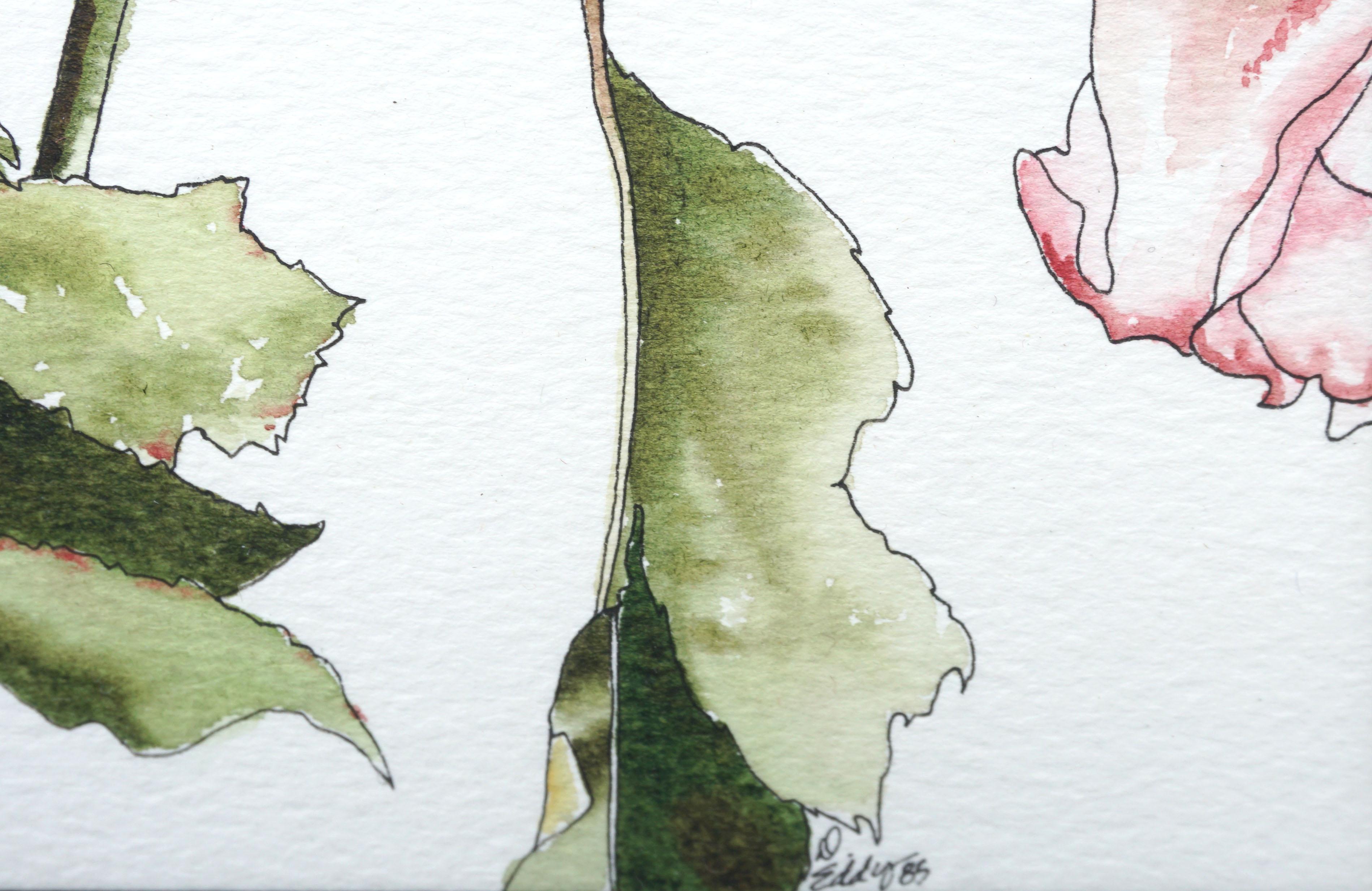 Hellrosa Rosen – botanische Studie (Amerikanischer Realismus), Art, von Deborah Eddy