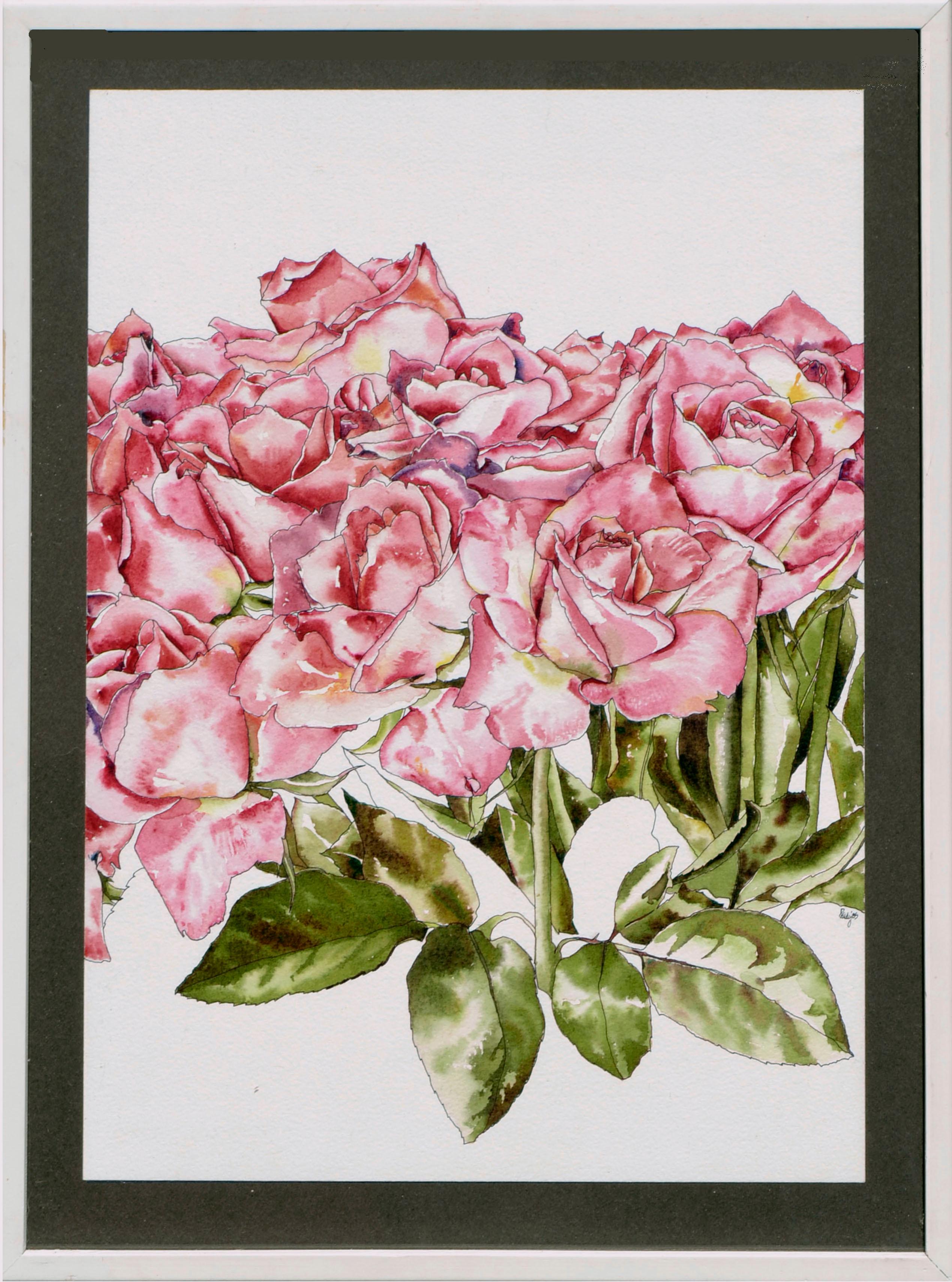 Hot Pink Roses - Botanical Study 