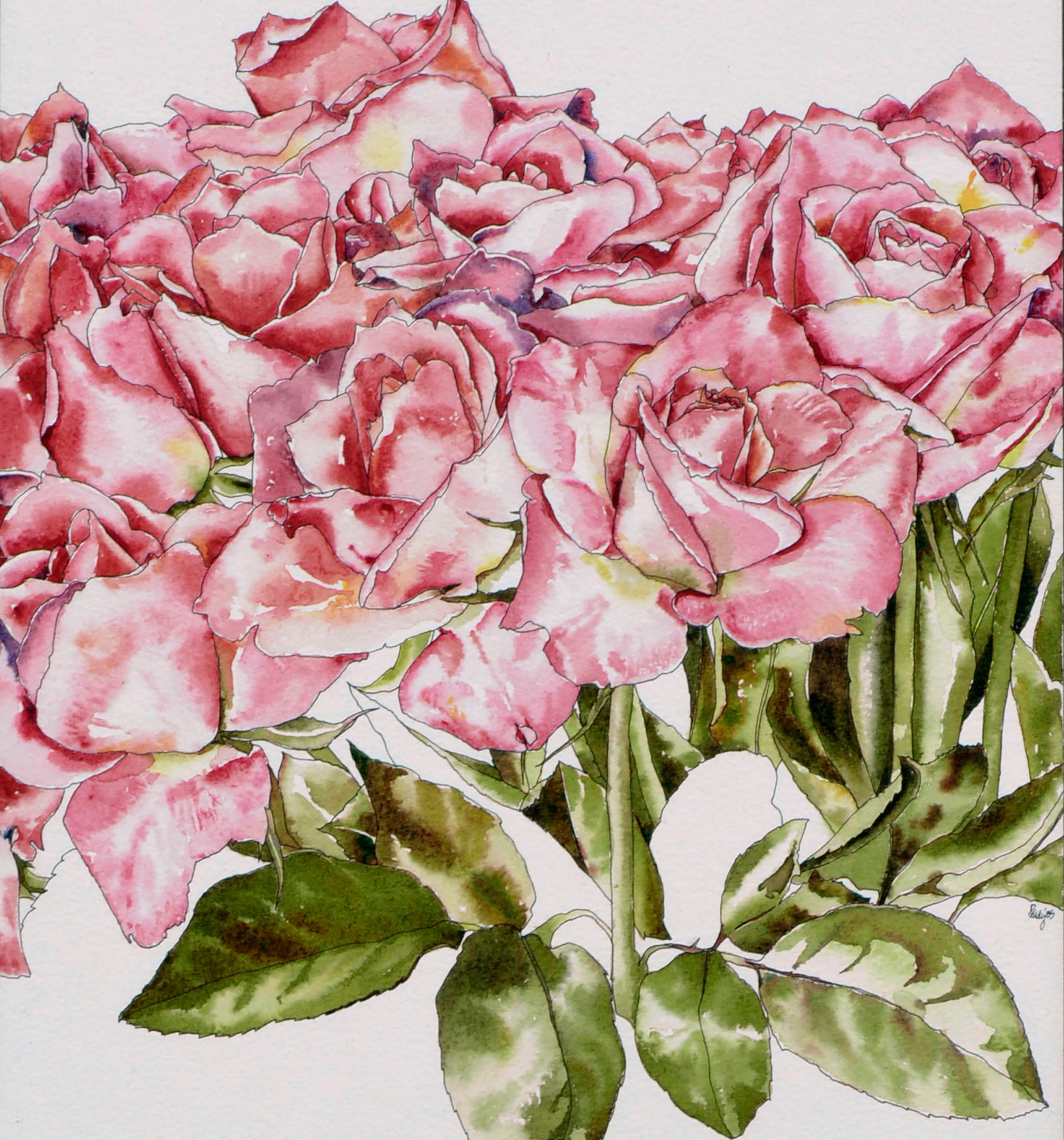 pink rose study