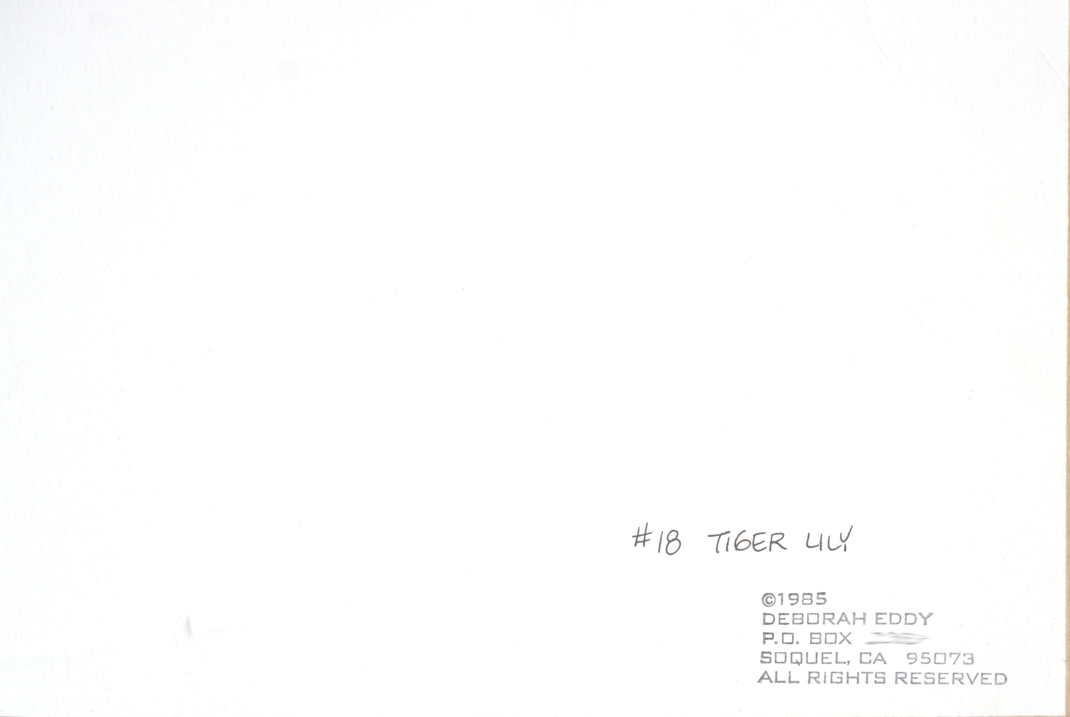 Tiger Lily - Botanical Study  - Beige Still-Life by Deborah Eddy