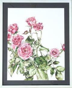 Vintage Pink Rose Buds - Botanical Study 