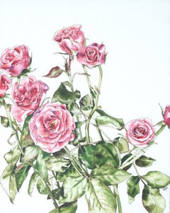 Pink Rose Buds - Botanical Study