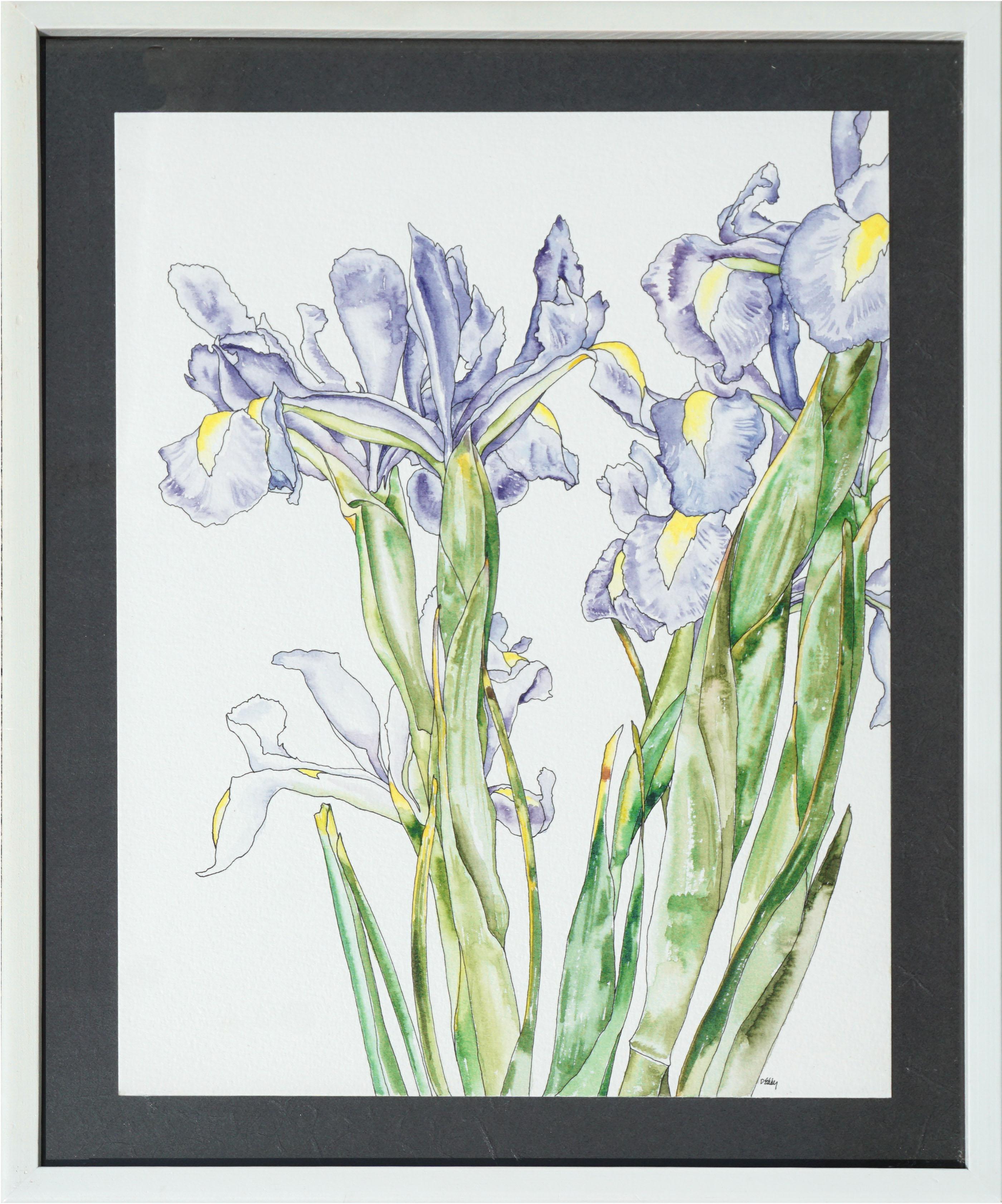 Deborah Eddy Still-Life – Japanische japanische Iris – botanische Studie 