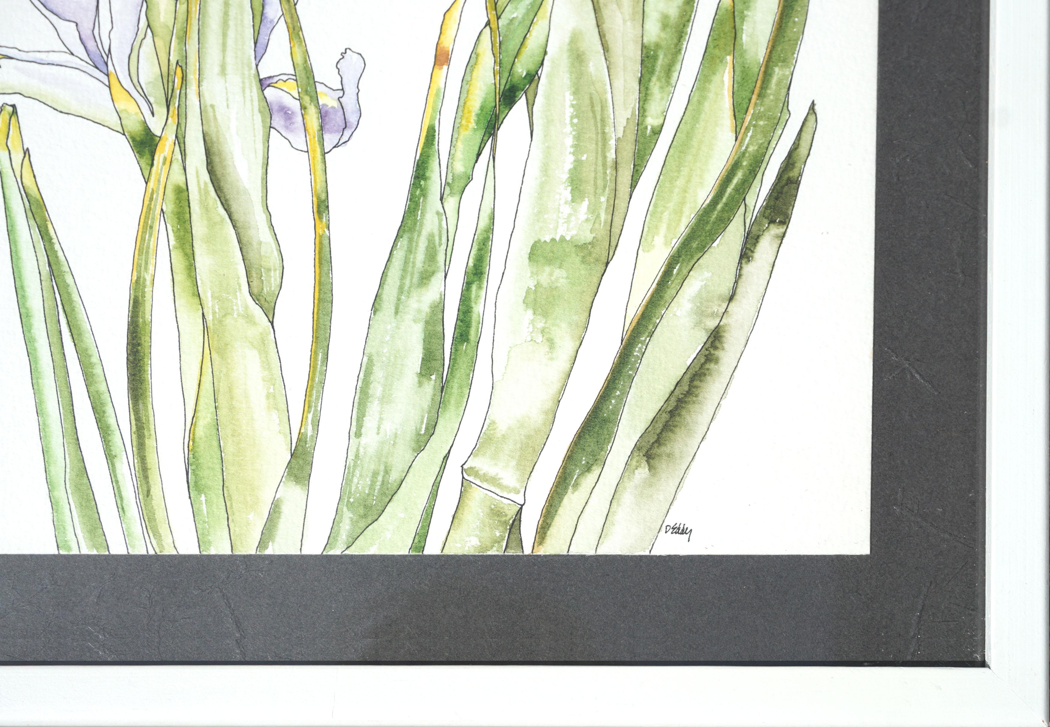 Japanische japanische Iris – botanische Studie (Amerikanischer Realismus), Art, von Deborah Eddy