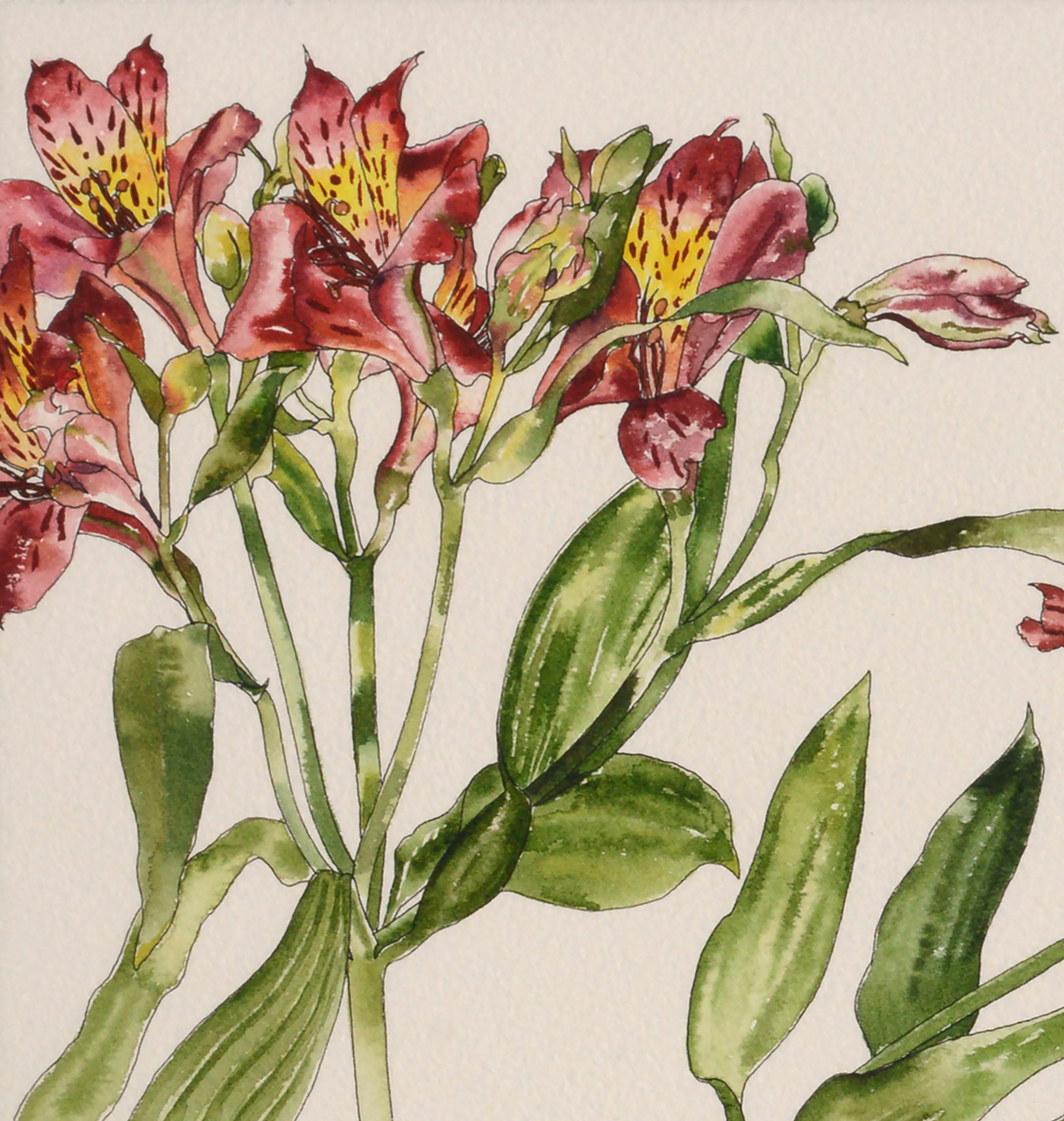 Peruanische Lilie – botanische Studie  (Amerikanischer Realismus), Art, von Deborah Eddy