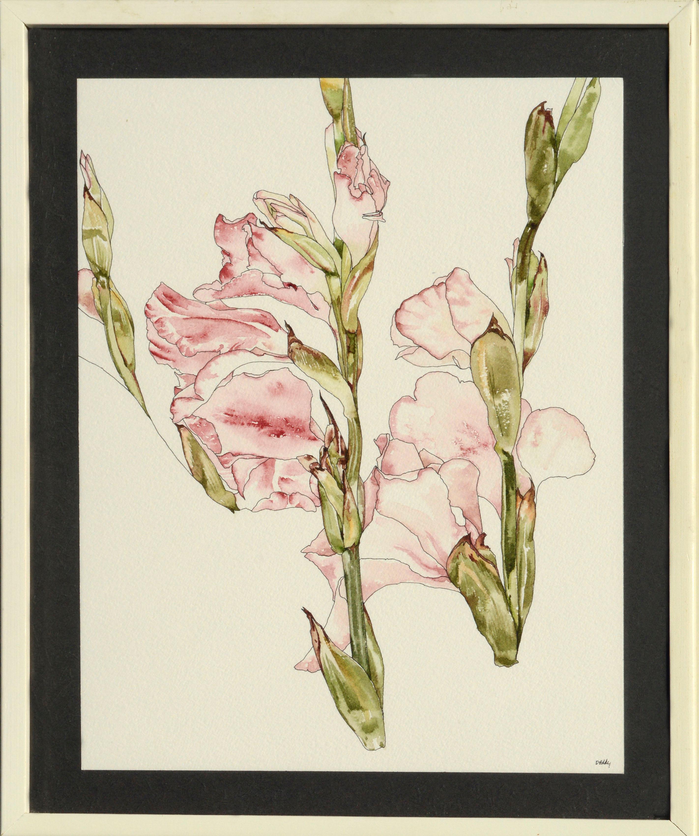Deborah Eddy Still-Life - Gladiolas - Botanical Study 