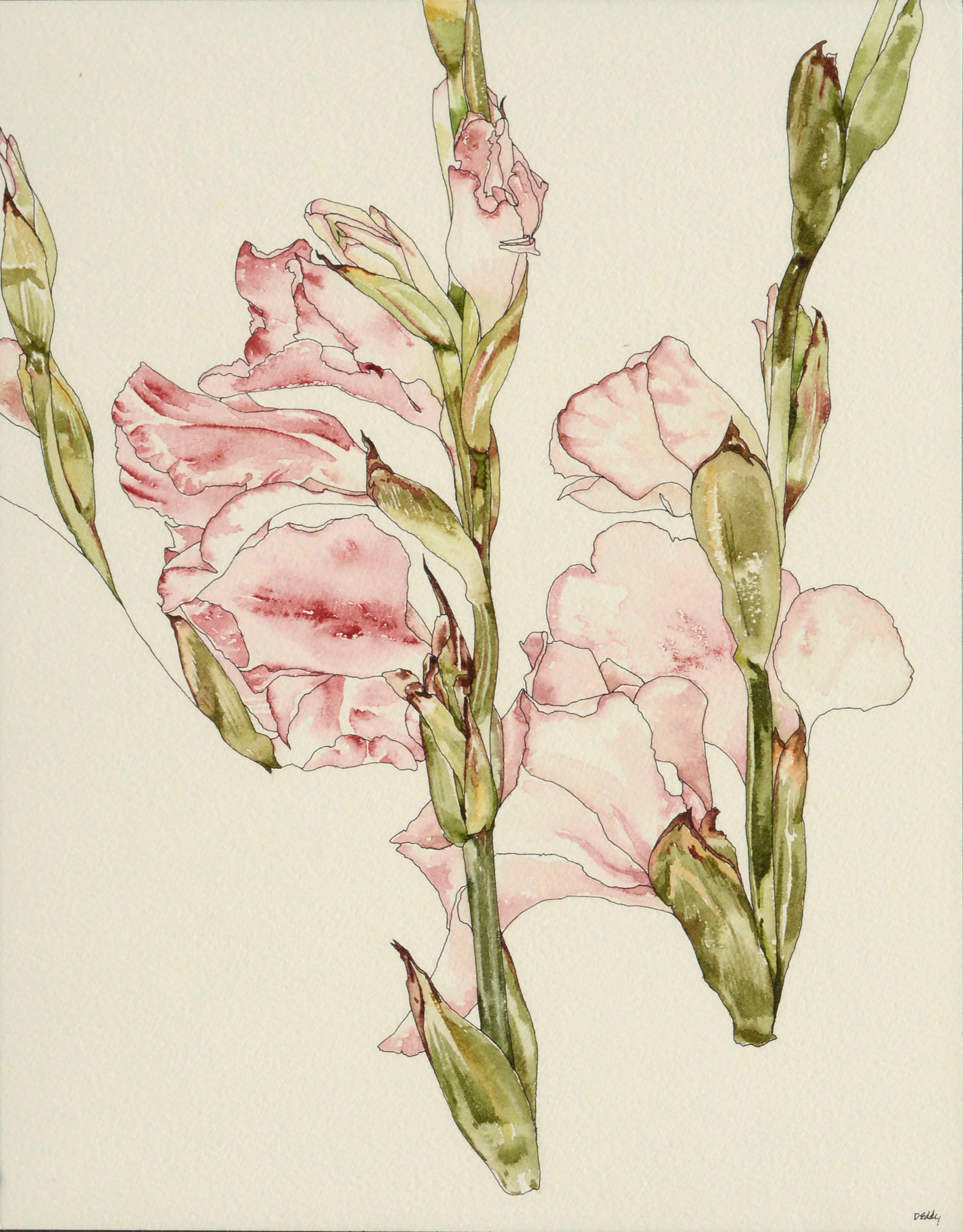 Gladiolas – Botanische Studie – Art von Deborah Eddy