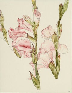 Gladiolas - Botanical Study