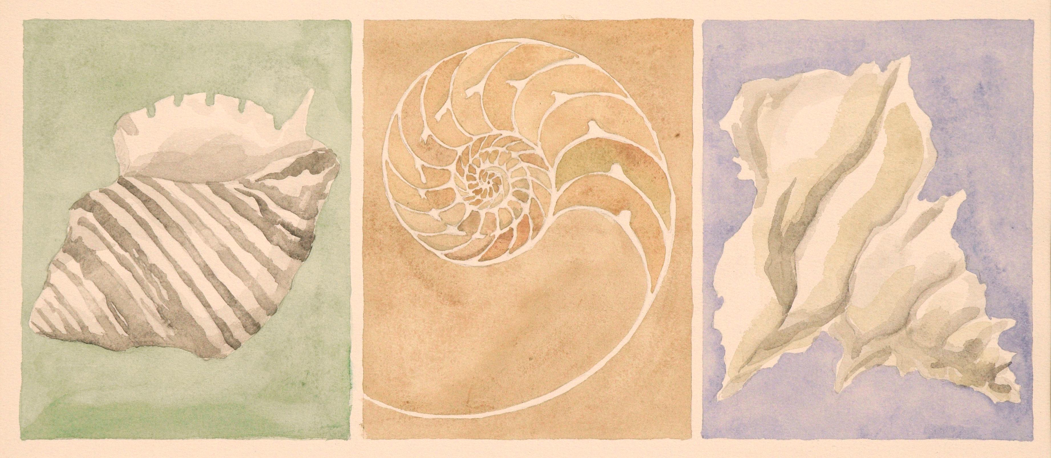 Three Seashells - Art by Gary Ermoloff