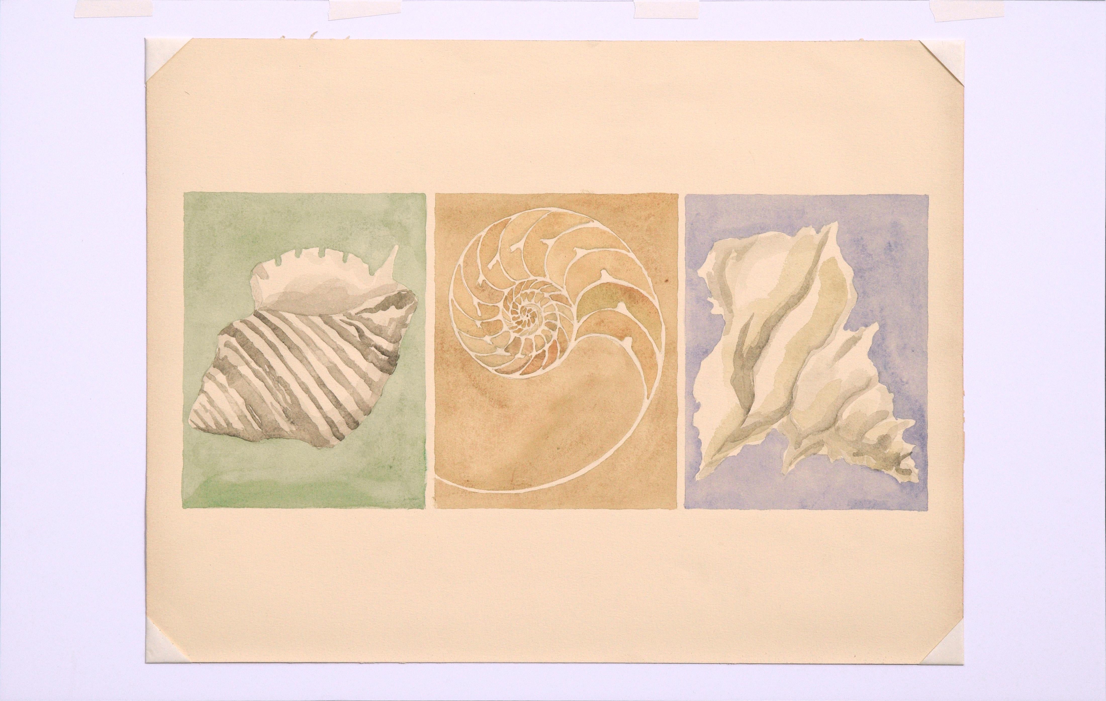Three Seashells - Gray Still-Life by Gary Ermoloff