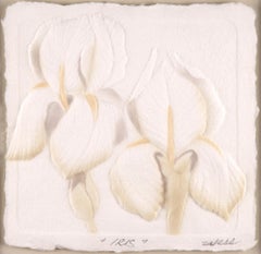 "IRIS" Cast Paper