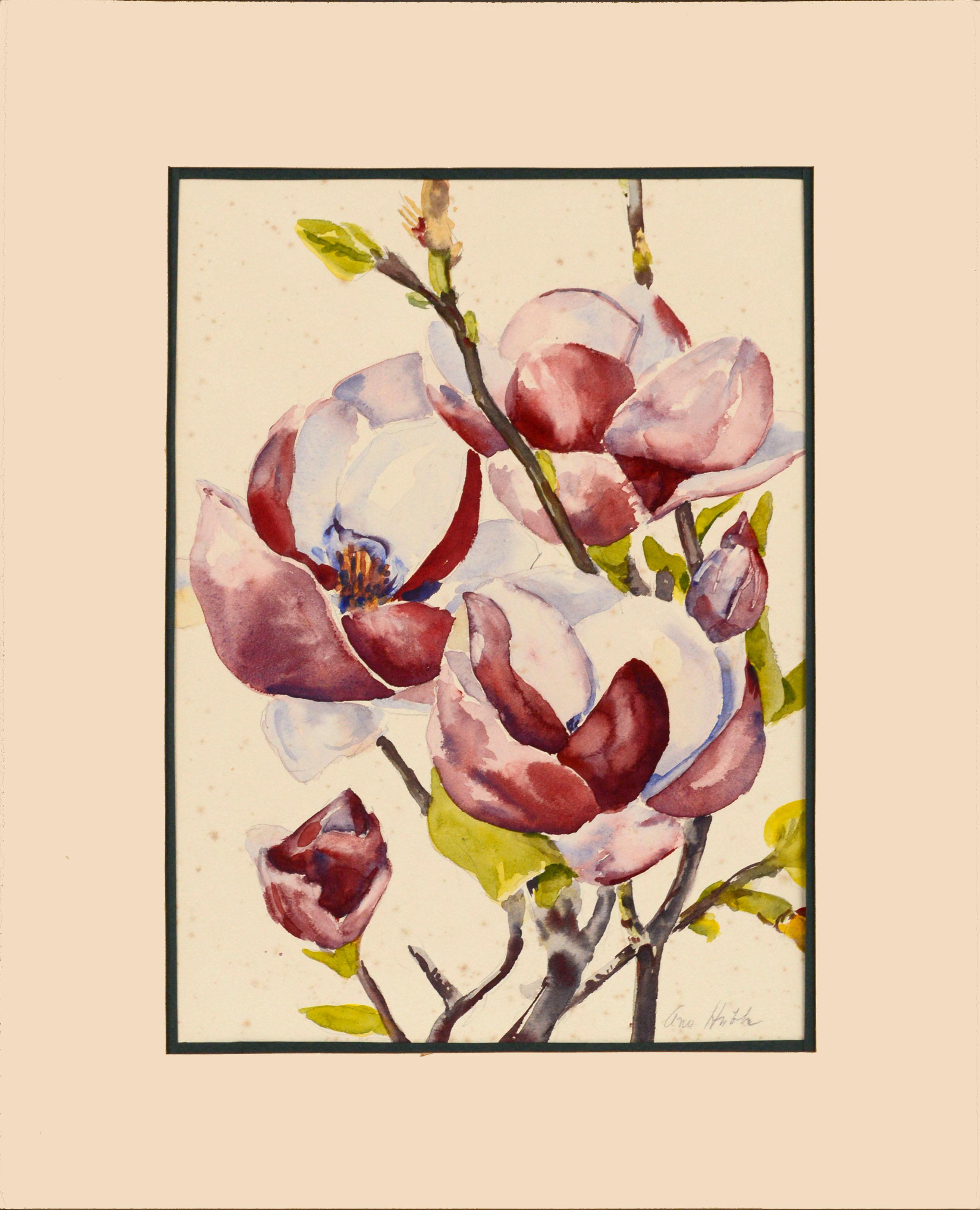 Nature morte des fleurs d'arbres Magnolia du milieu du siècle dernier  - Art de Ann Hobbs 