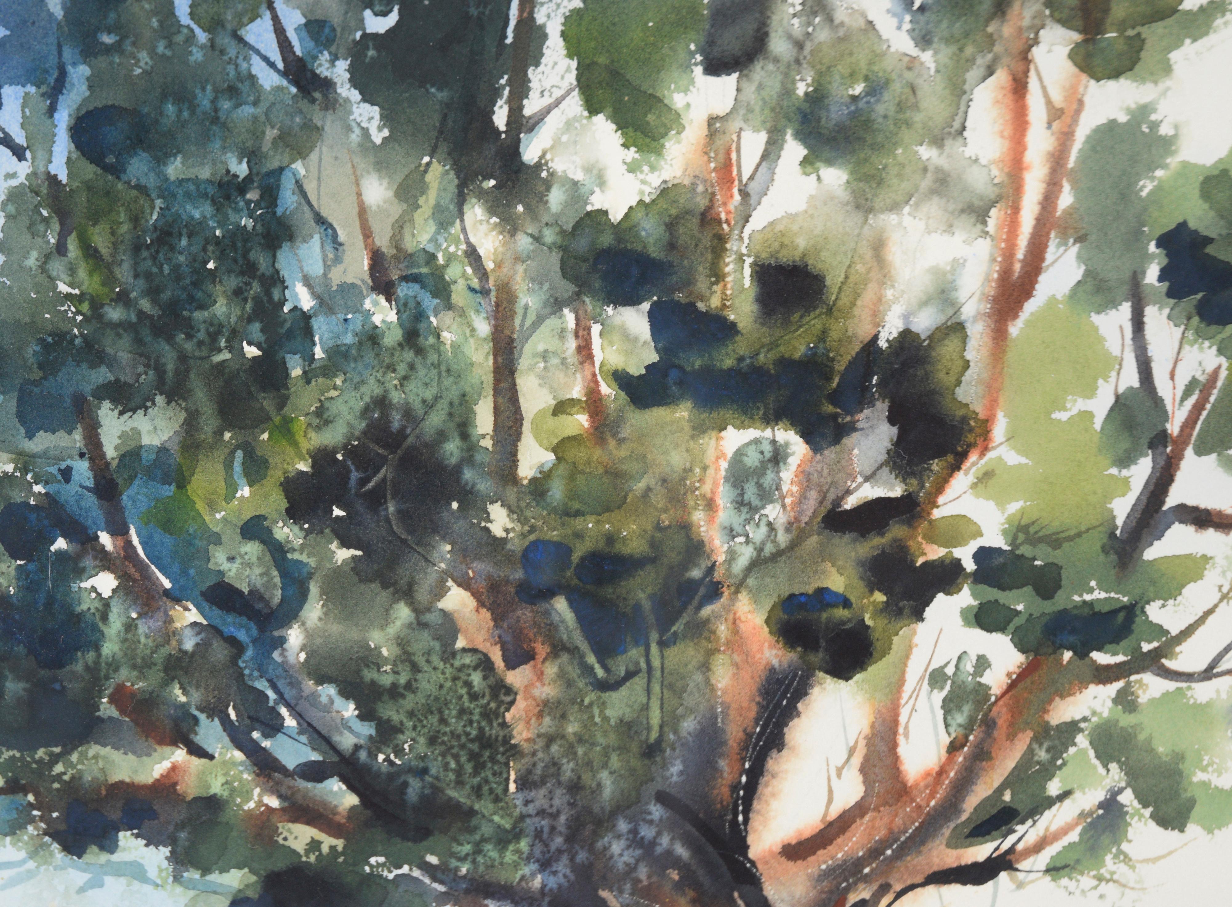 The Ancient Tree, Aquarell-Landschaftslandschaft (Amerikanischer Impressionismus), Art, von Marge Eaton Johnson