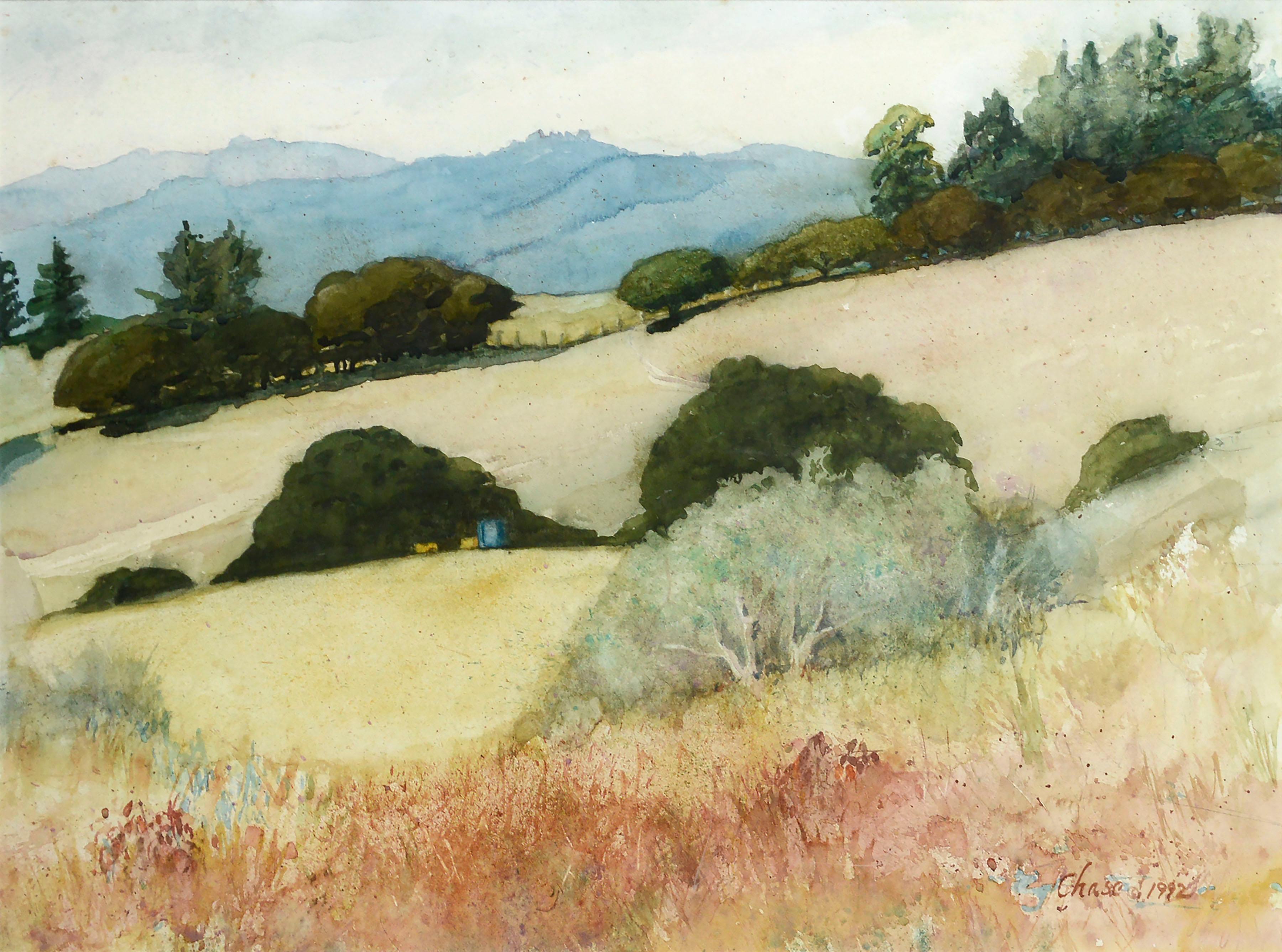 Spring in the Meadow, Large-Scale Santa Cruz Rolling Hills Watercolor Landscape  - Art by Chase B. Sullivan
