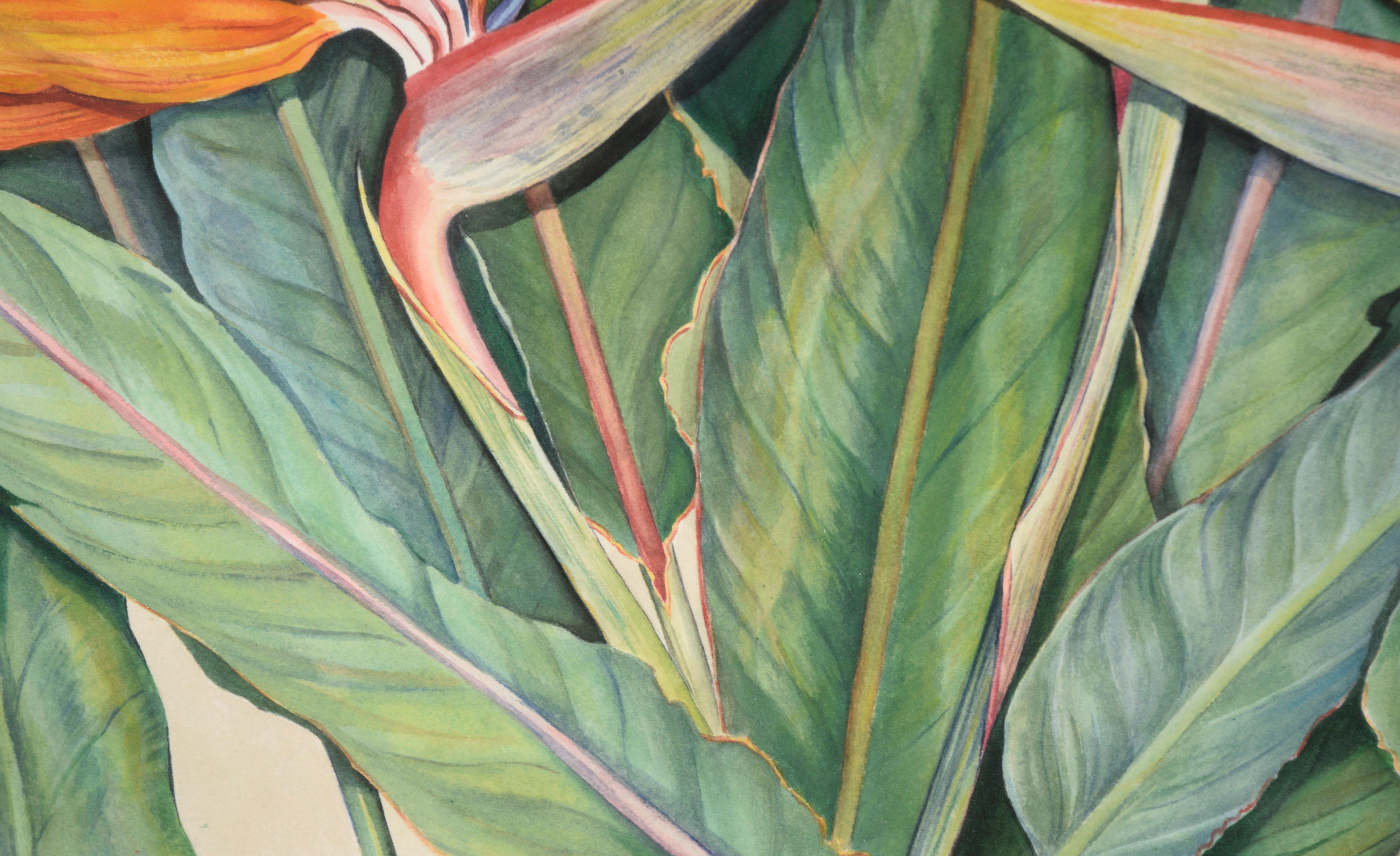 Représentation vibrante et détaillée de trois fleurs d'oiseau de paradis par un artiste inconnu 
