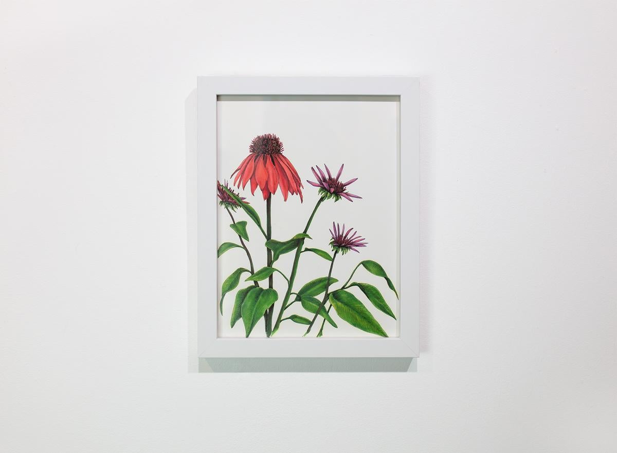 Diese originelle handgezeichnete botanische Illustration von Elizabeth Iadicicco wurde mit Illustrationsmarker und Stift auf Strathmore-Markerpapier angefertigt und zeigt eine große rote Blume und kleinere violette Blüten mit grünen Stängeln und