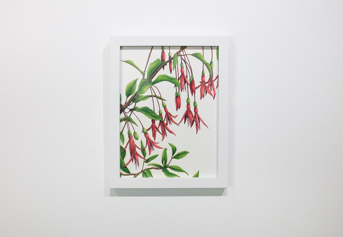Diese originelle, handgezeichnete botanische Illustration von Elizabeth Iadicicco wurde mit Illustrationsmarker und Mikronstift auf Strathmore-Markerpapier angefertigt und zeigt die Fuchsienblüten eines Kolibris, die von einem Zweig der Pflanze