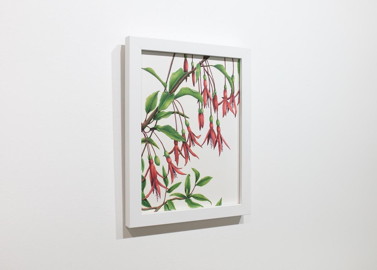 Gerahmte botanische Illustration „Hummingbirds“ im Angebot 1