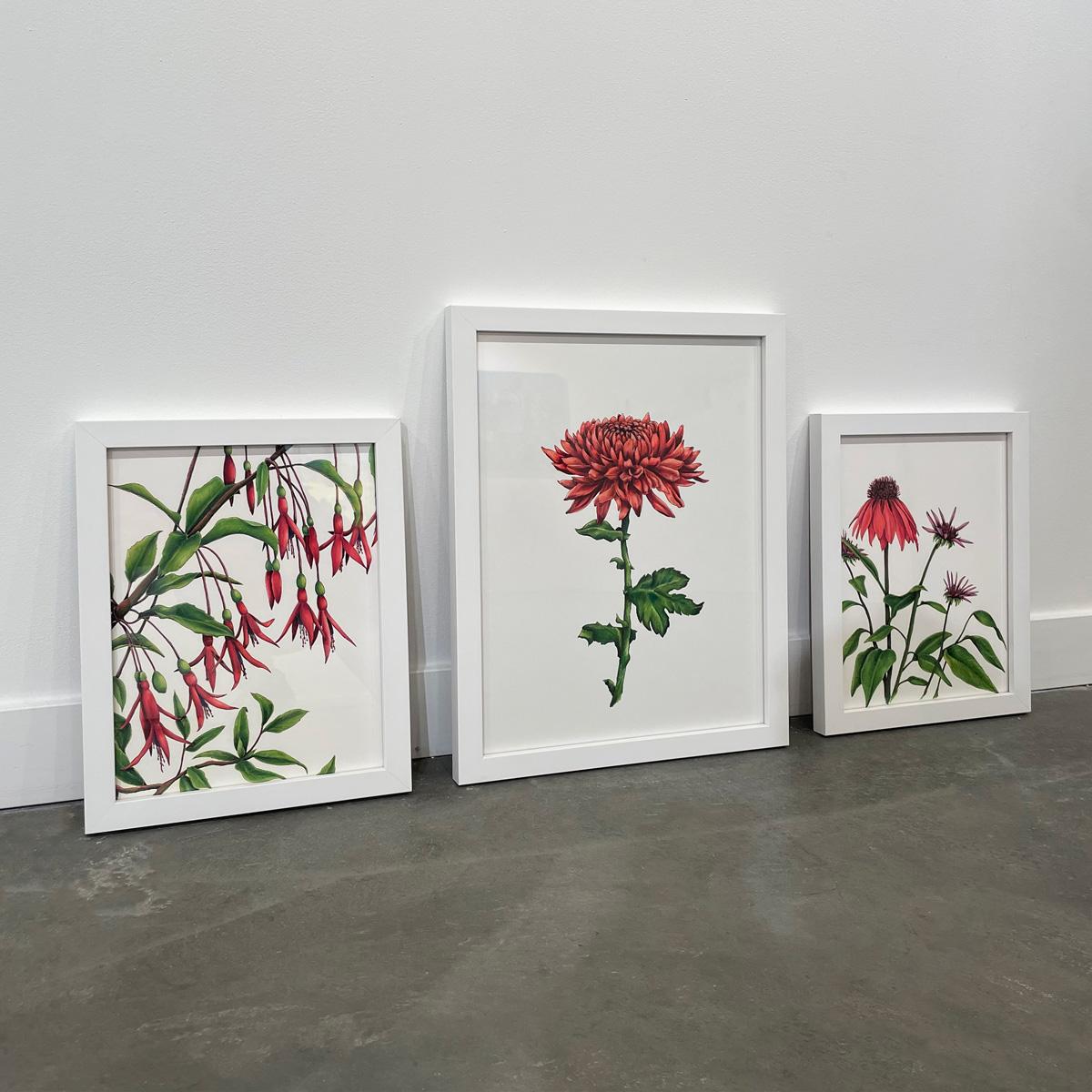 Gerahmte botanische Illustration „Hummingbirds“ im Angebot 3