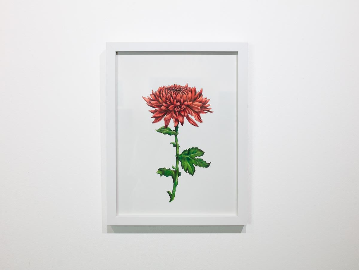 This original hand-drawn botanical illustration by Elizabeth Iadicicco is made with illustration marker, pen, and colored pencil on bristol paper. The drawing captures a large, fully bloomed red chrysanthemum with a leafy stem at the center of the