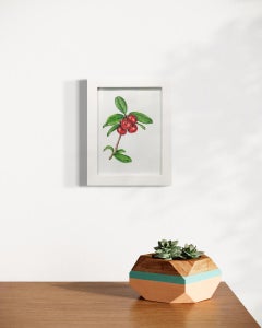 "Cranberries" Framed Botanical Illustration