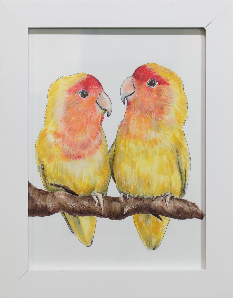"Birds" Framed Hand-Drawn Illustration - Art by Elizabeth Iadicicco